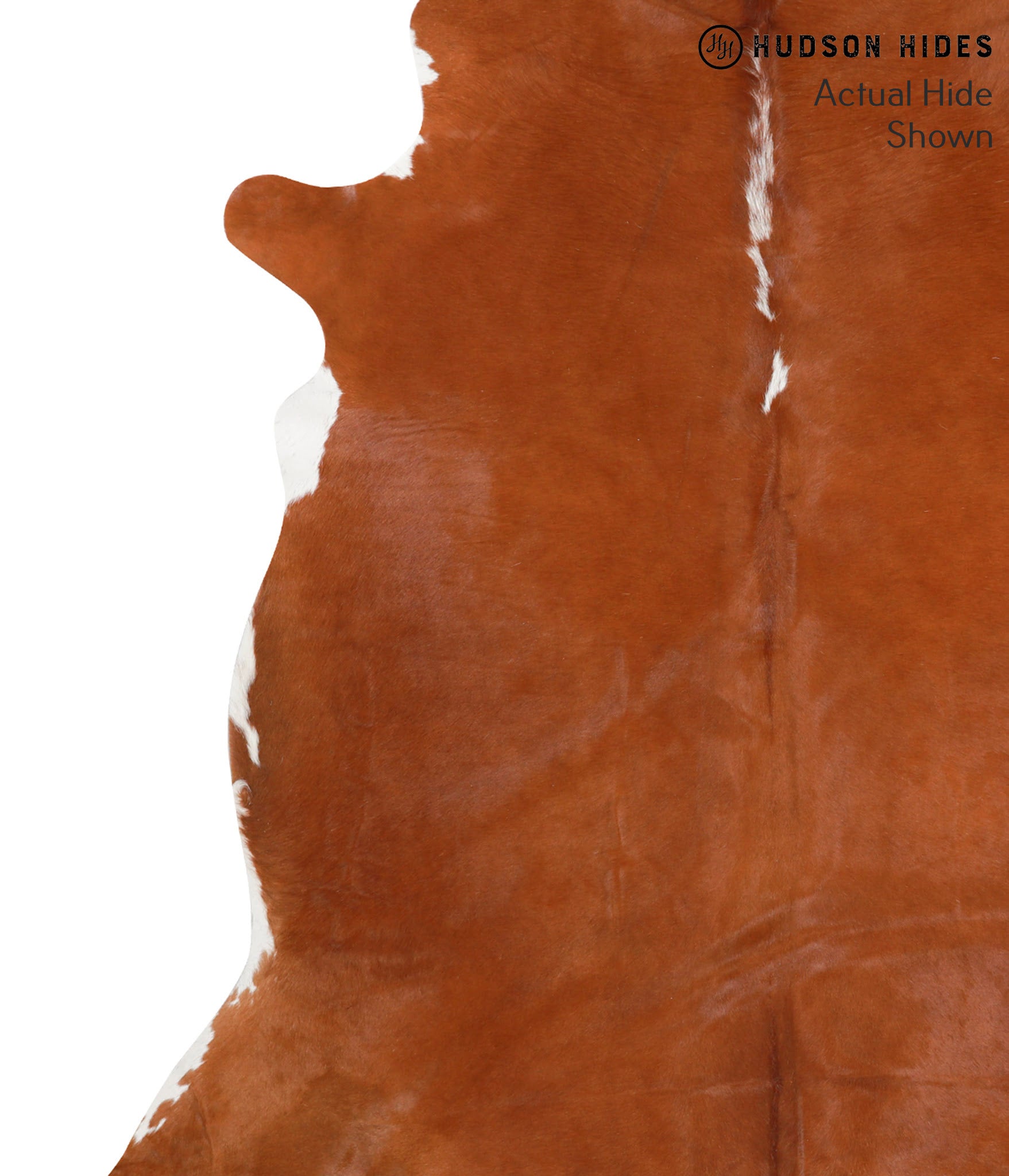 Brown and White Regular Cowhide Rug #39488