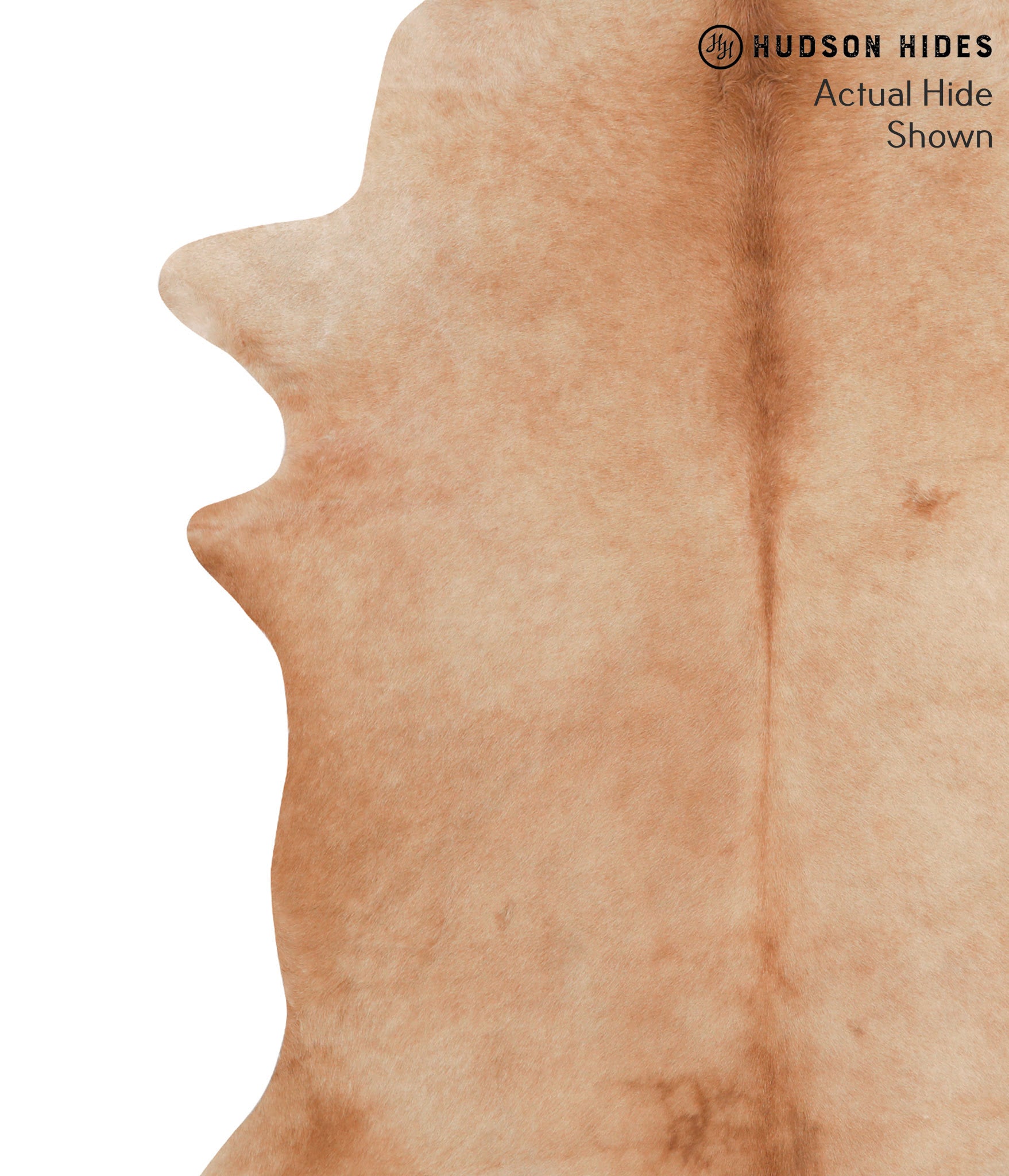 Solid Brown Cowhide Rug #39510