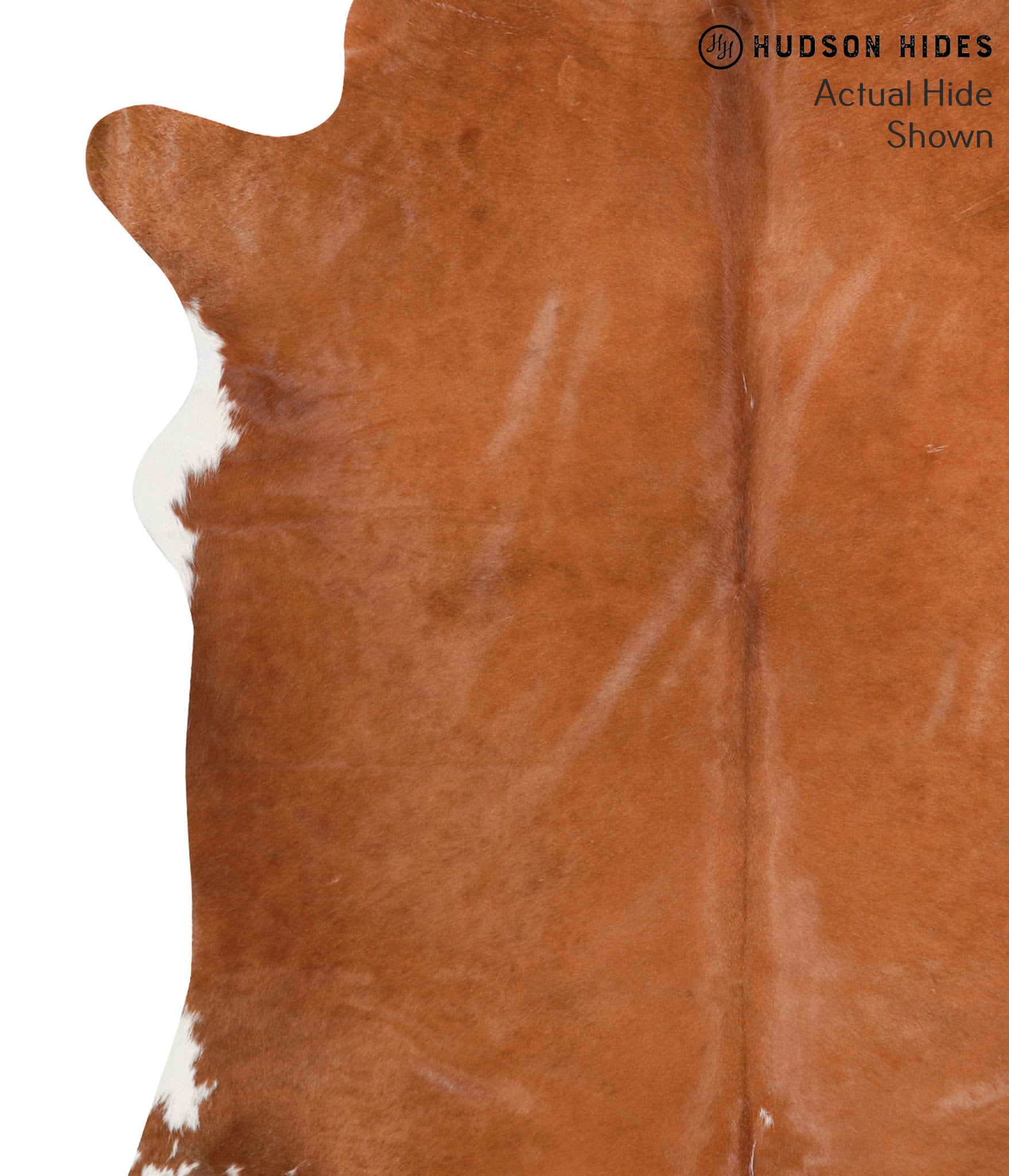 Solid Brown Cowhide Rug #39516