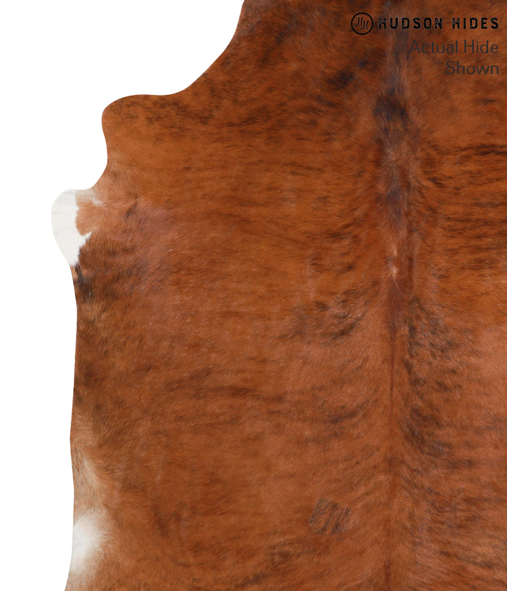 Medium Brindle Cowhide Rug #39519