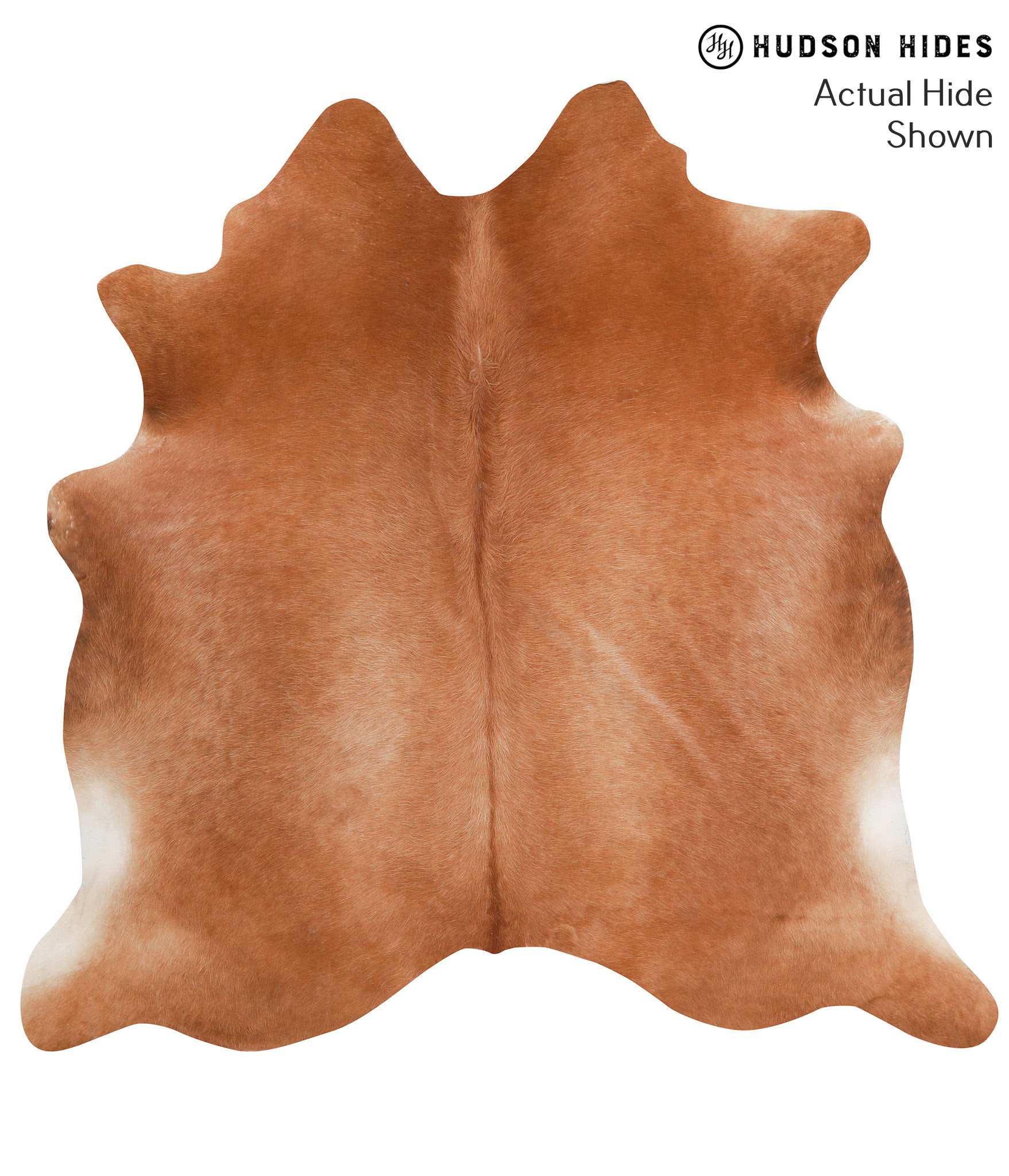 Solid Brown Cowhide Rug #39524