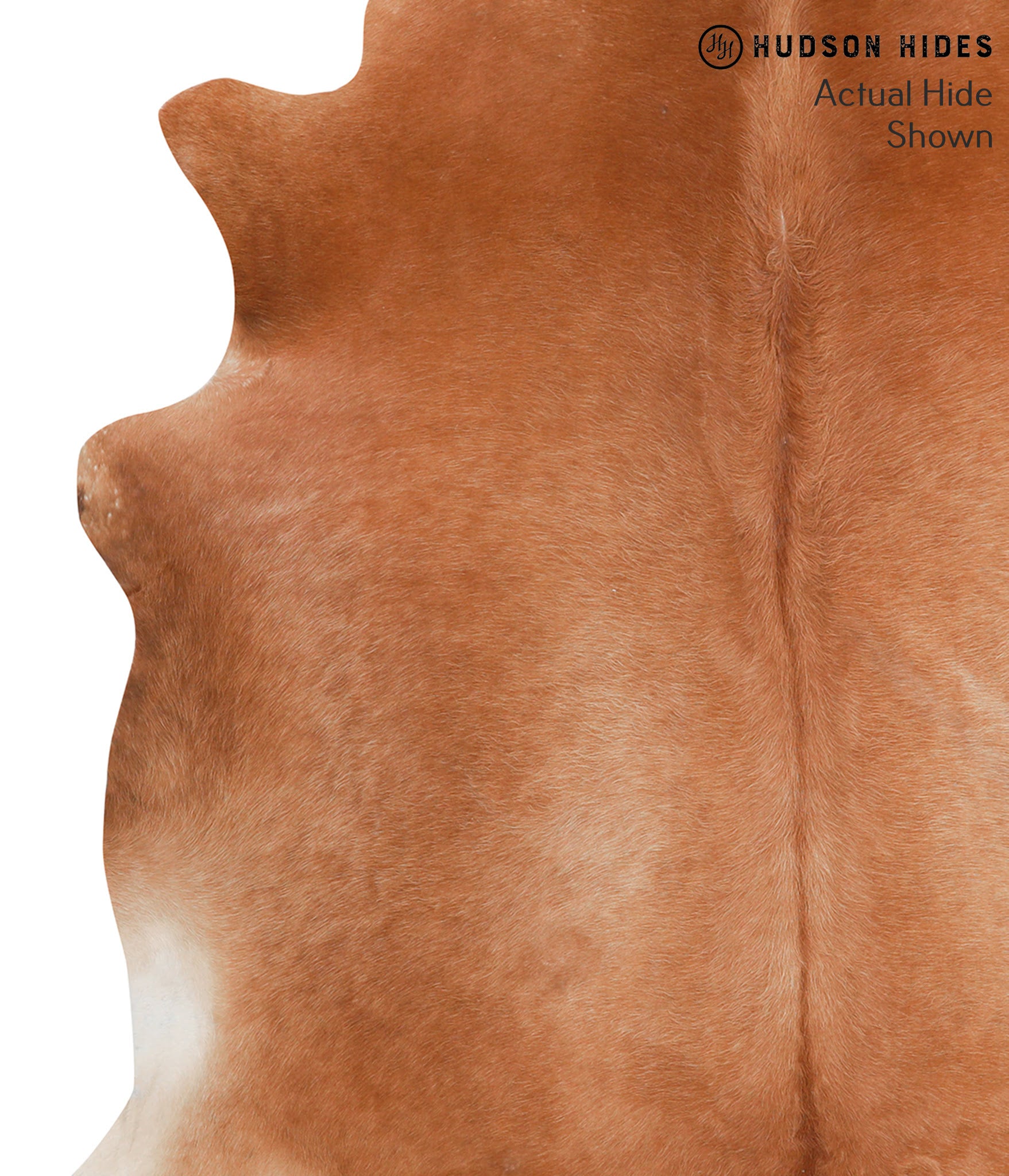 Solid Brown Cowhide Rug #39524