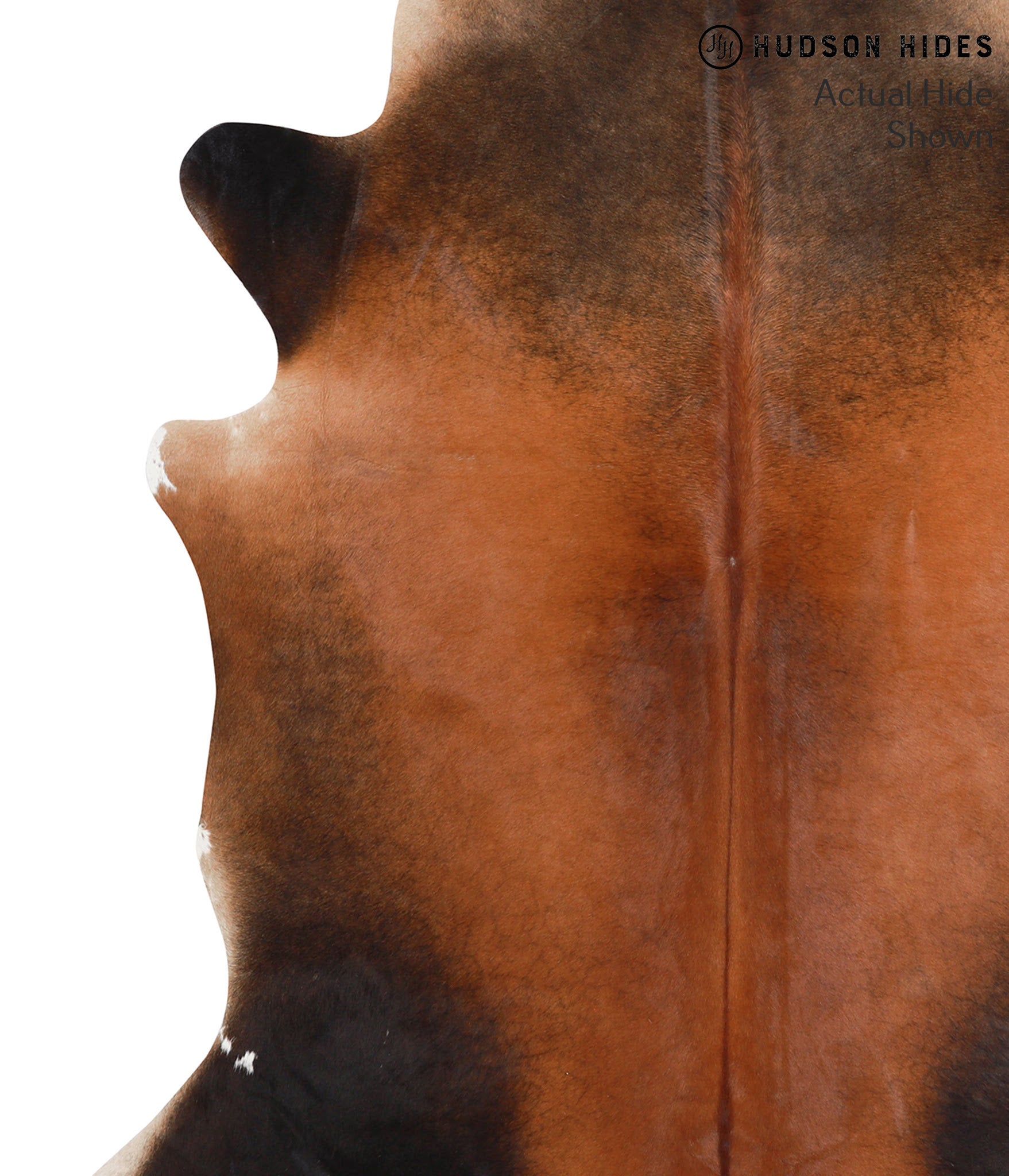 Brown with Red Cowhide Rug #39546