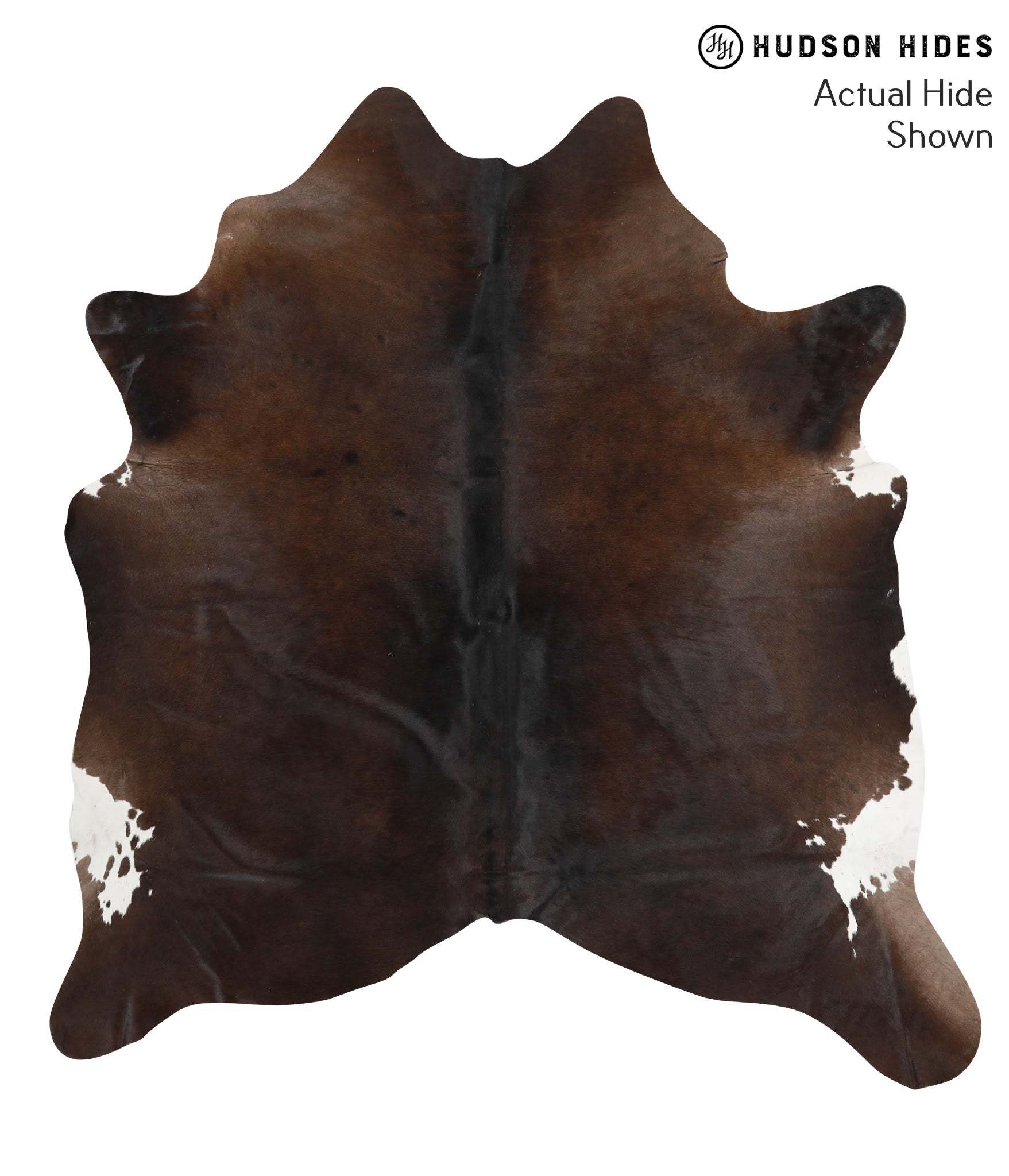 Chocolate Cowhide Rug #39584