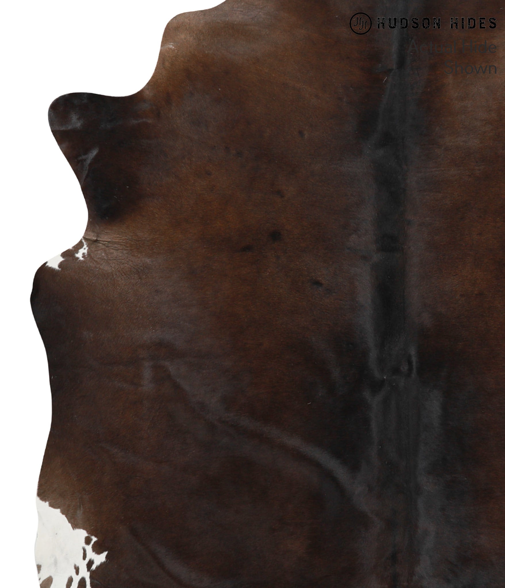 Chocolate Cowhide Rug #39584
