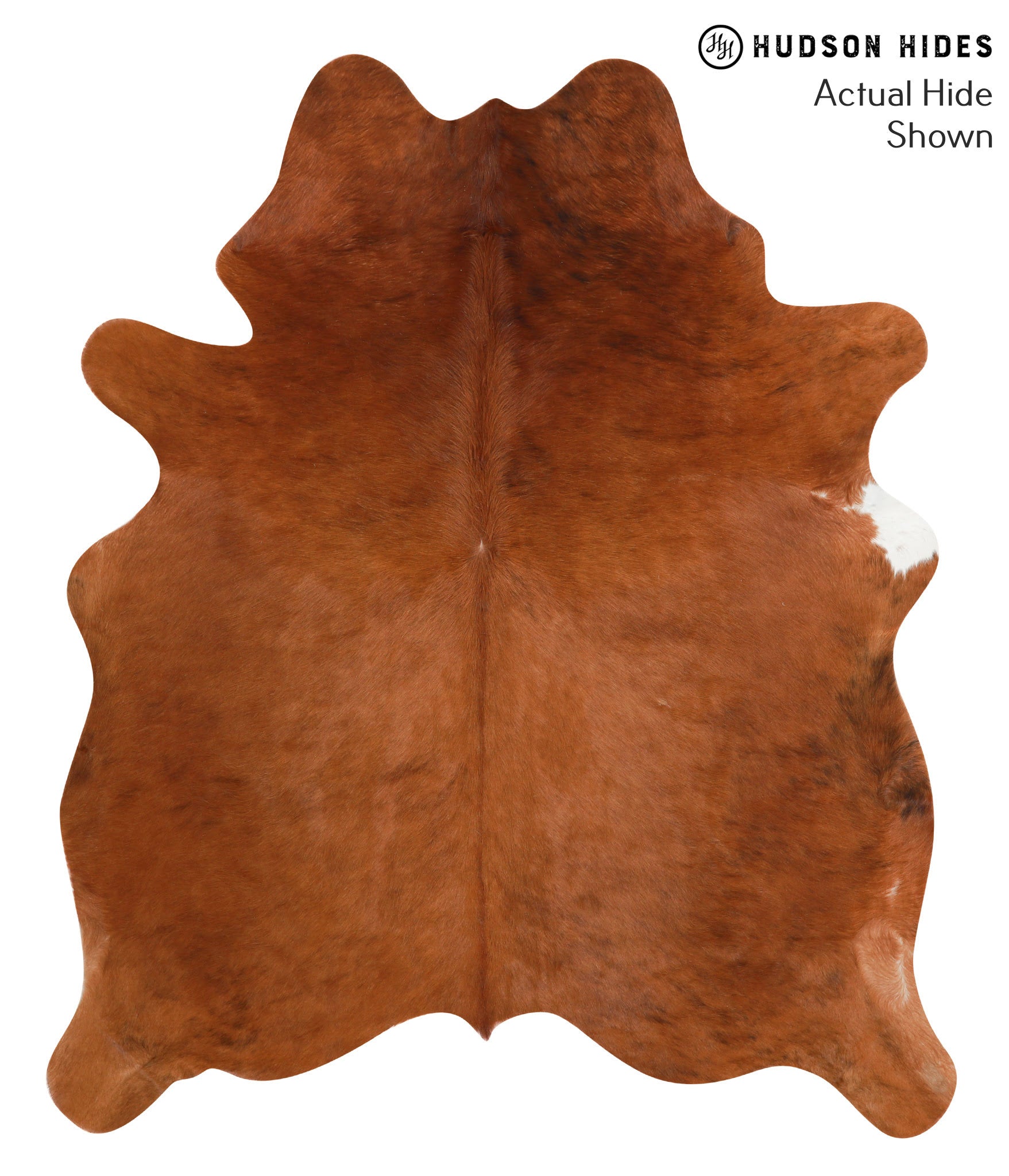 Solid Brown Cowhide Rug #39608