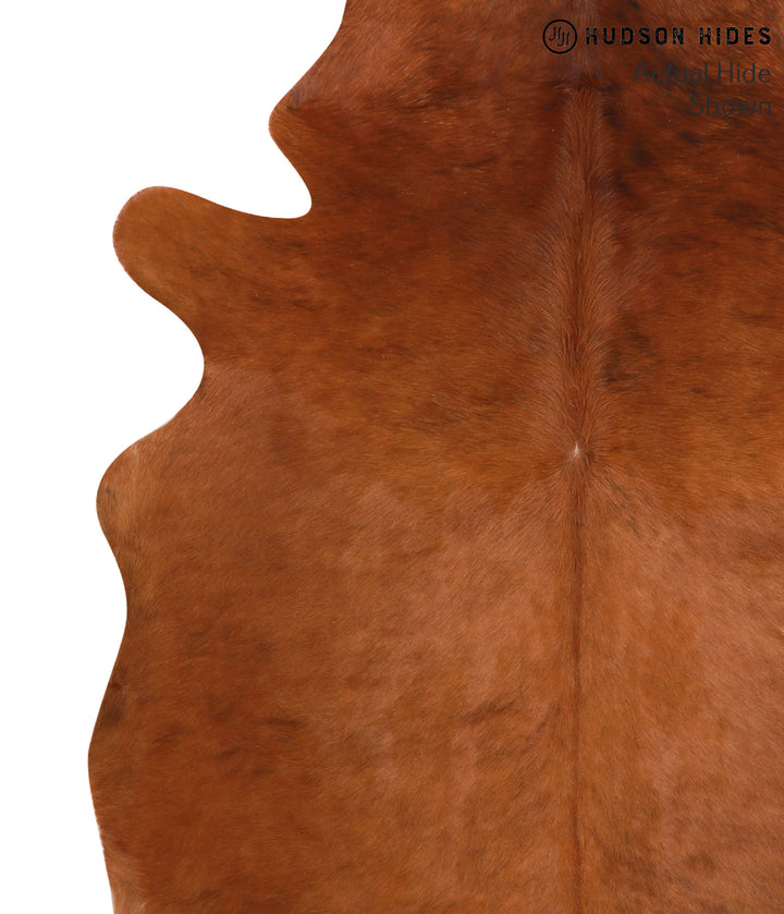 Solid Brown X-Large Brazilian Cowhide Rug 7'3"H x 6'0"W #39608 by Hudson Hides