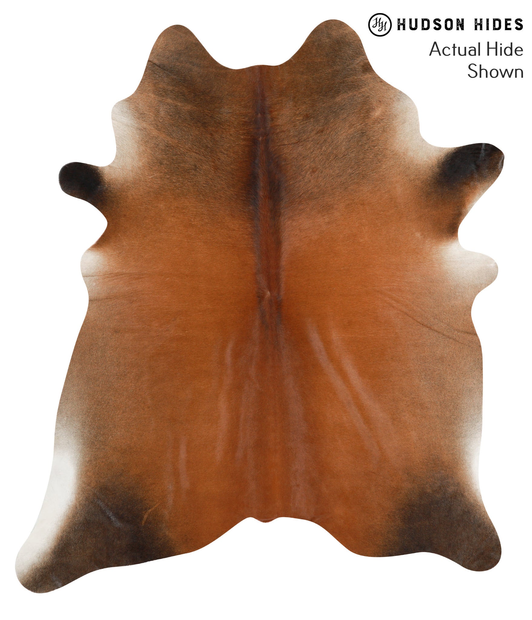 Brown with Red Cowhide Rug #39632