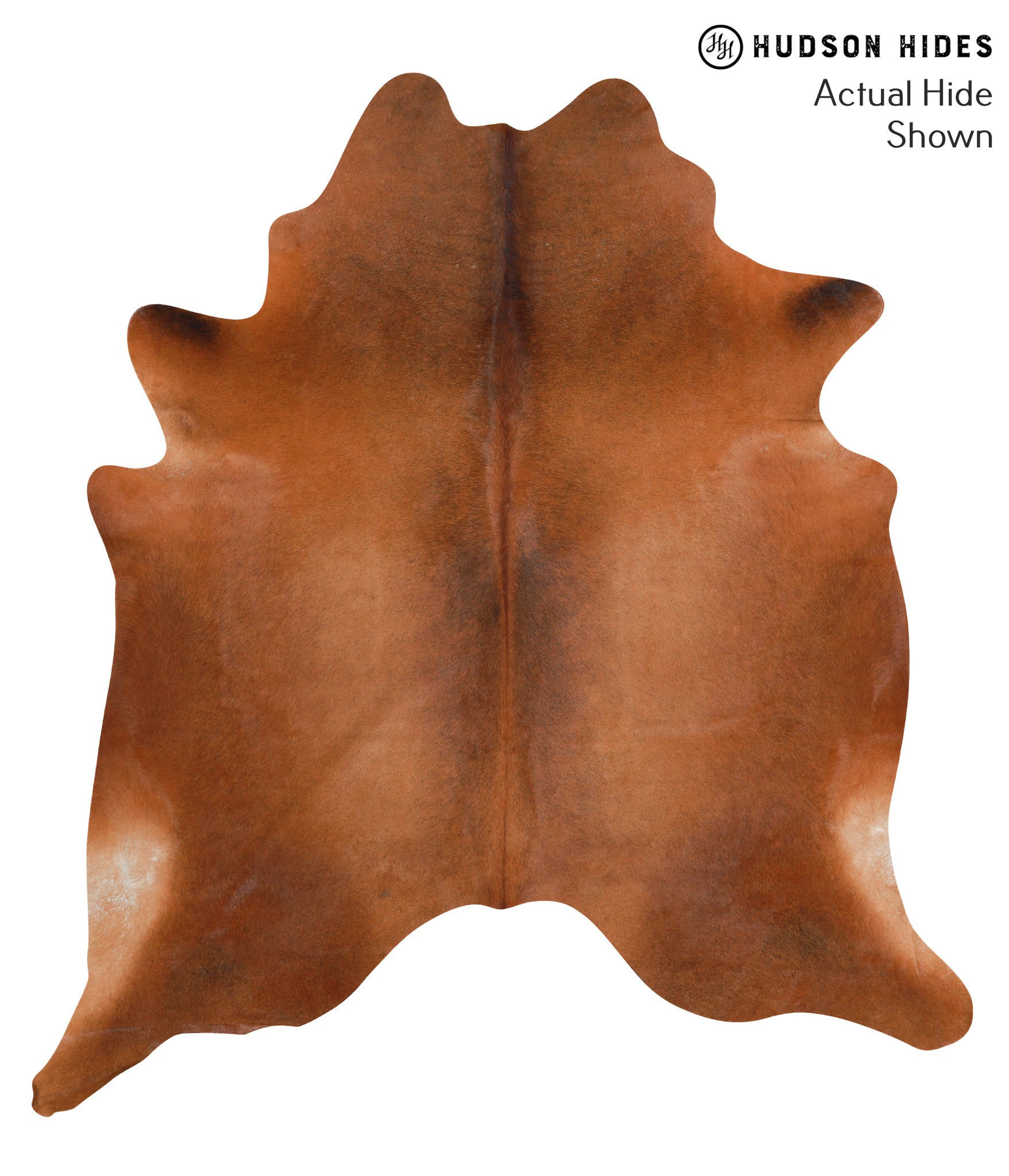 Solid Brown Cowhide Rug #39660