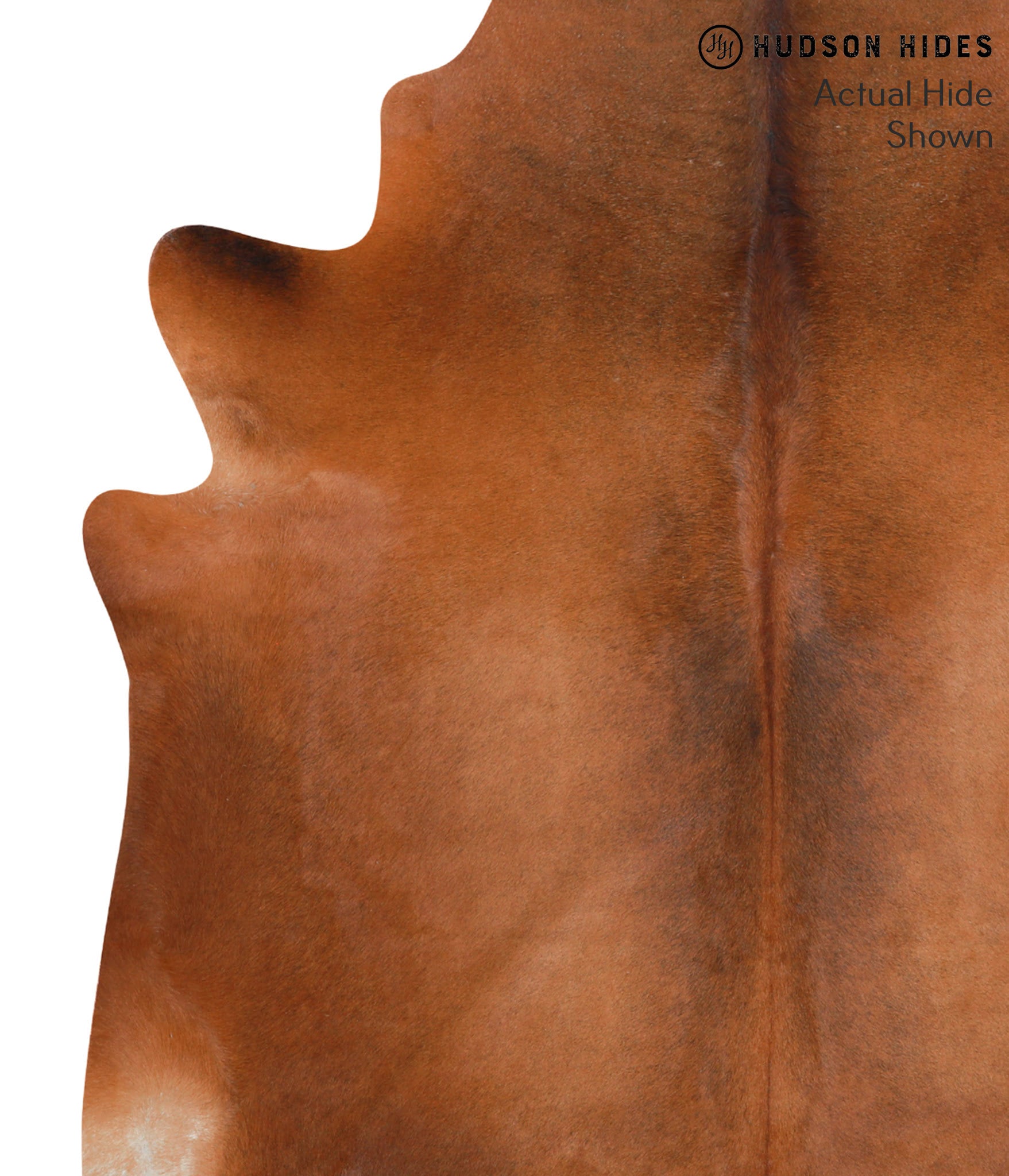 Solid Brown Cowhide Rug #39660