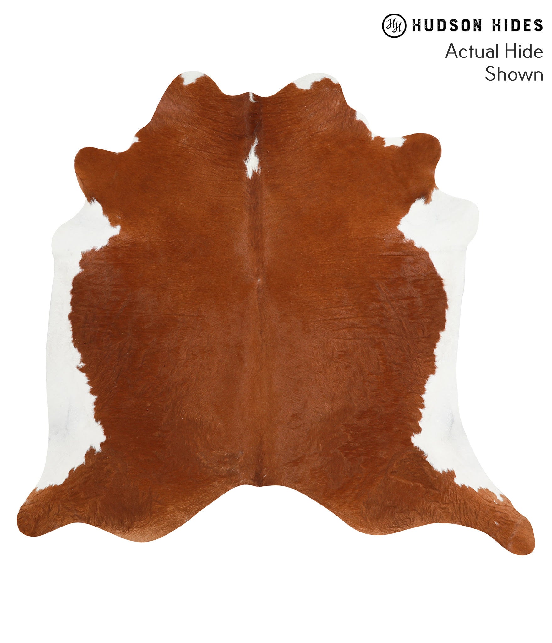 Brown and White Regular Cowhide Rug #39676