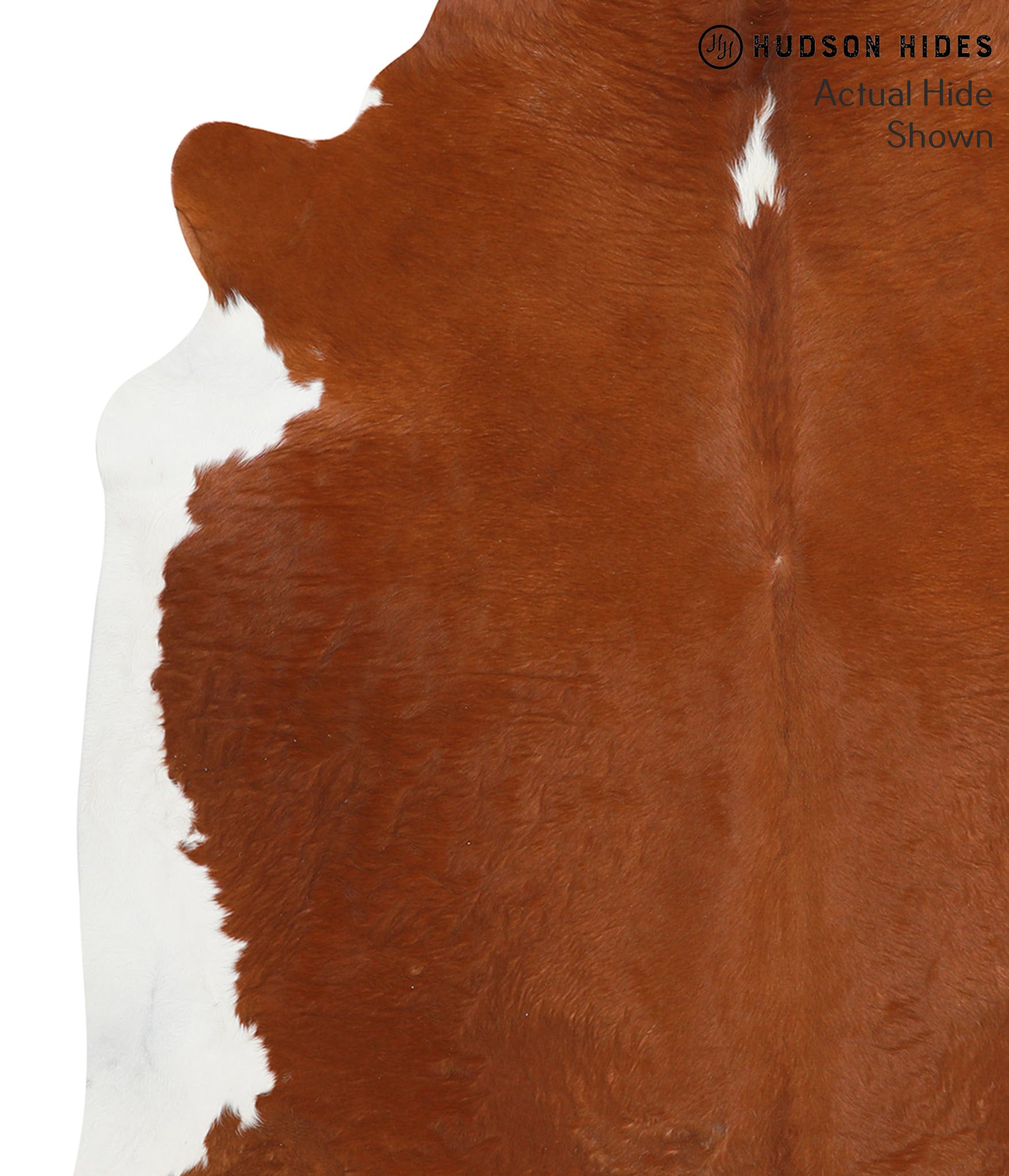 Brown and White Regular Cowhide Rug #39676