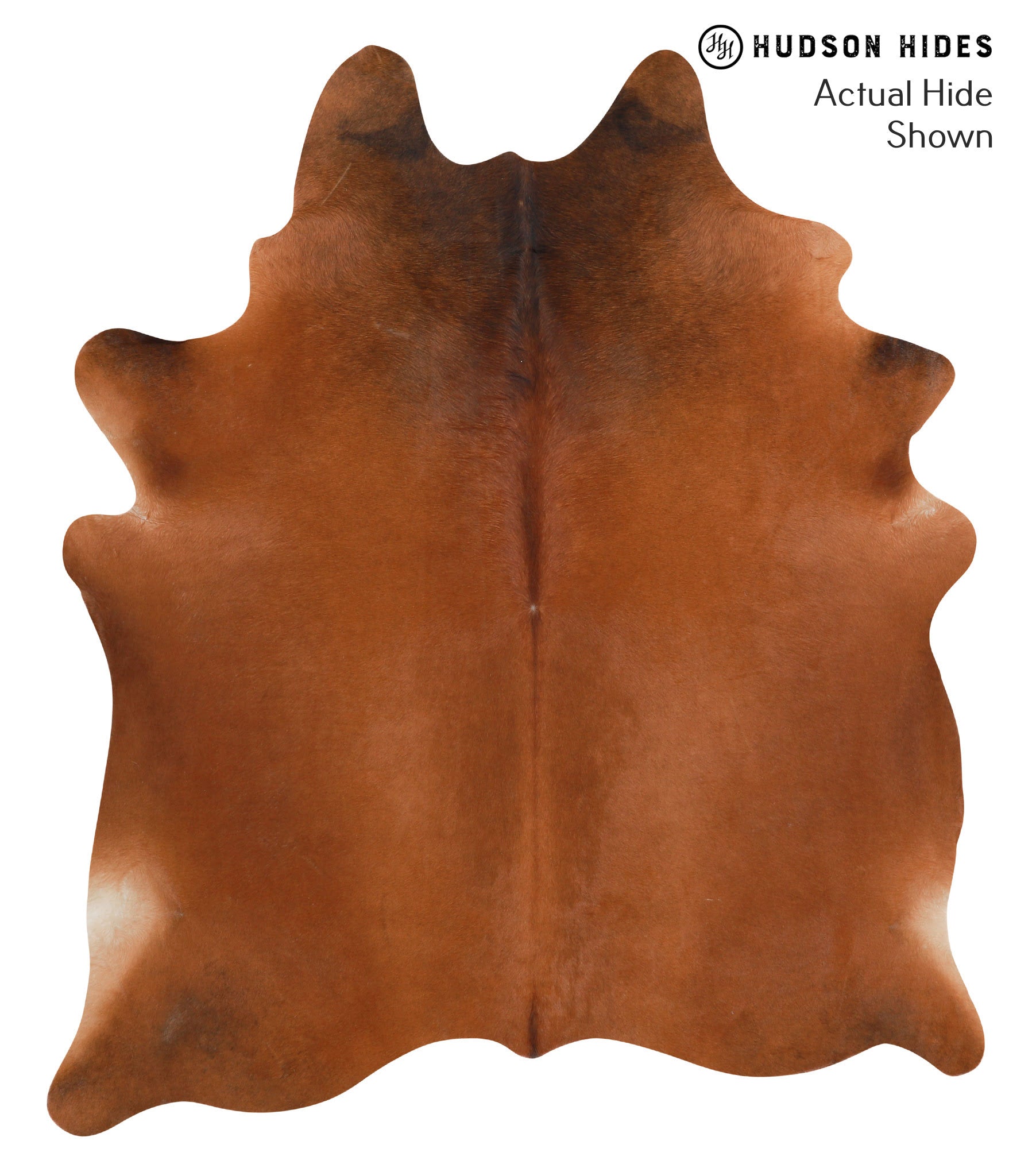 Solid Brown Cowhide Rug #39679