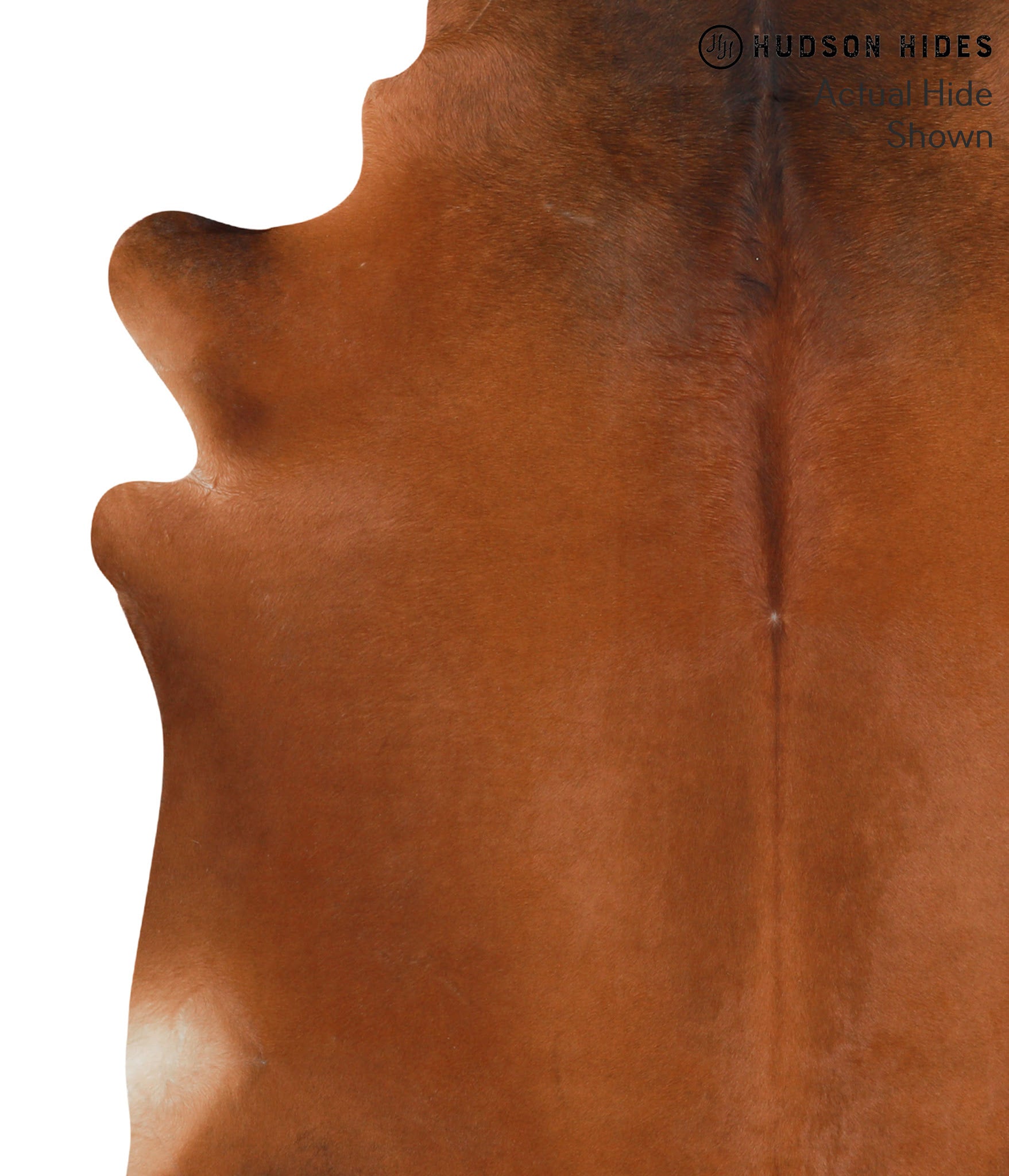Solid Brown Cowhide Rug #39679