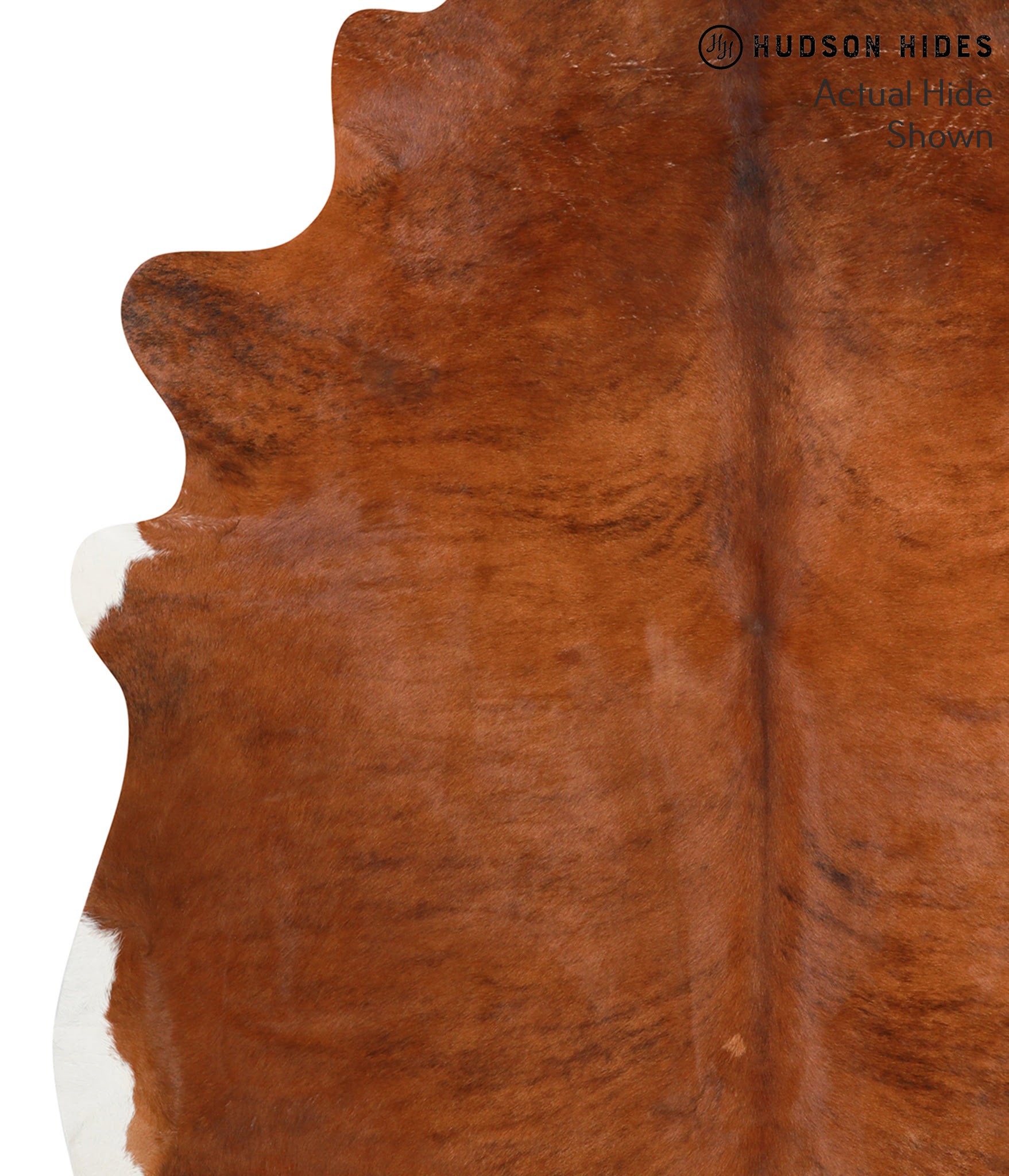 Medium Brindle Cowhide Rug #39682