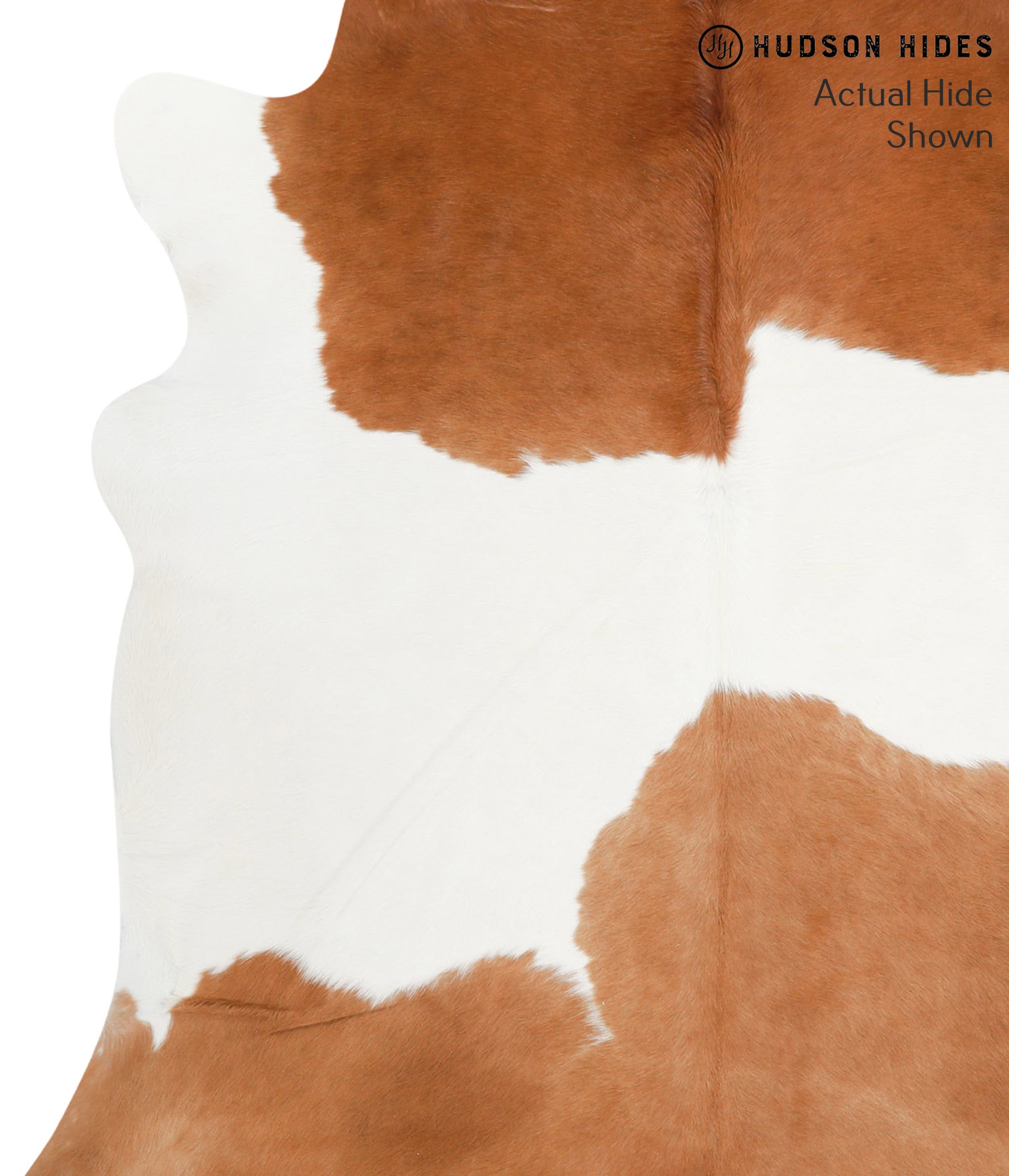 Brown and White Cowhide Rug #39808