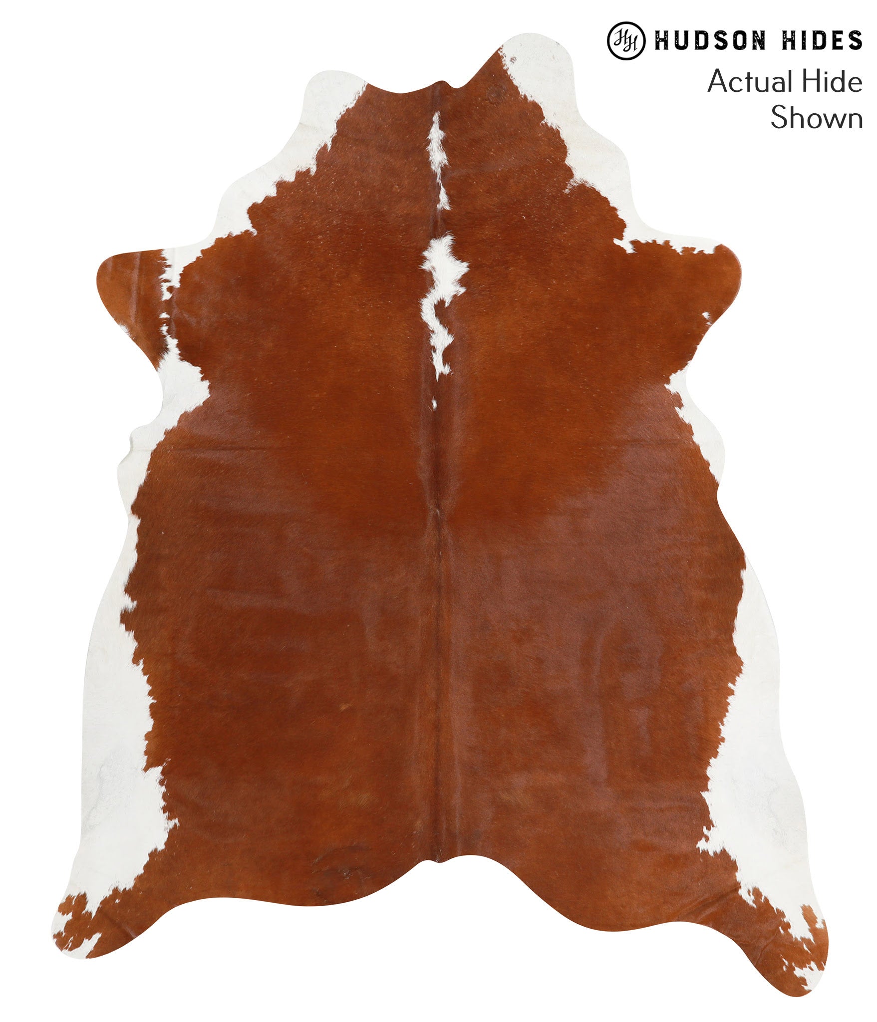 Brown and White Regular Cowhide Rug #39818