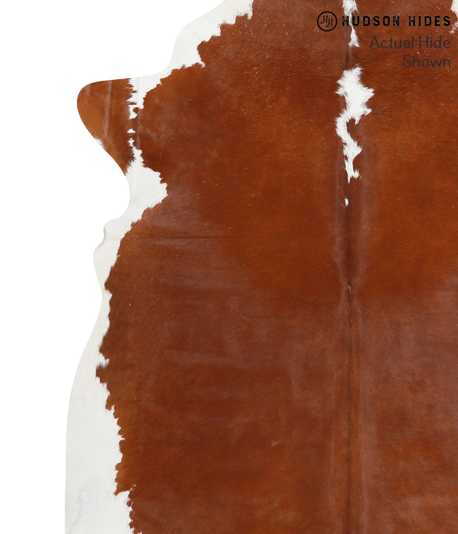 Brown and White Regular Cowhide Rug #39818