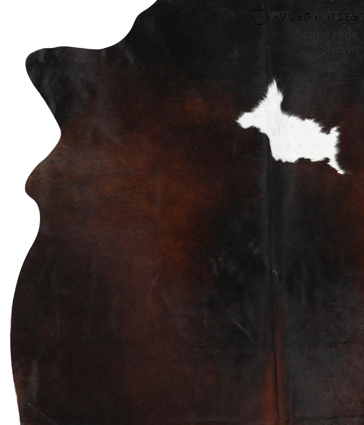 Chocolate and White Large Brazilian Cowhide Rug 6'3"H x 5'11"W #39822 by Hudson Hides