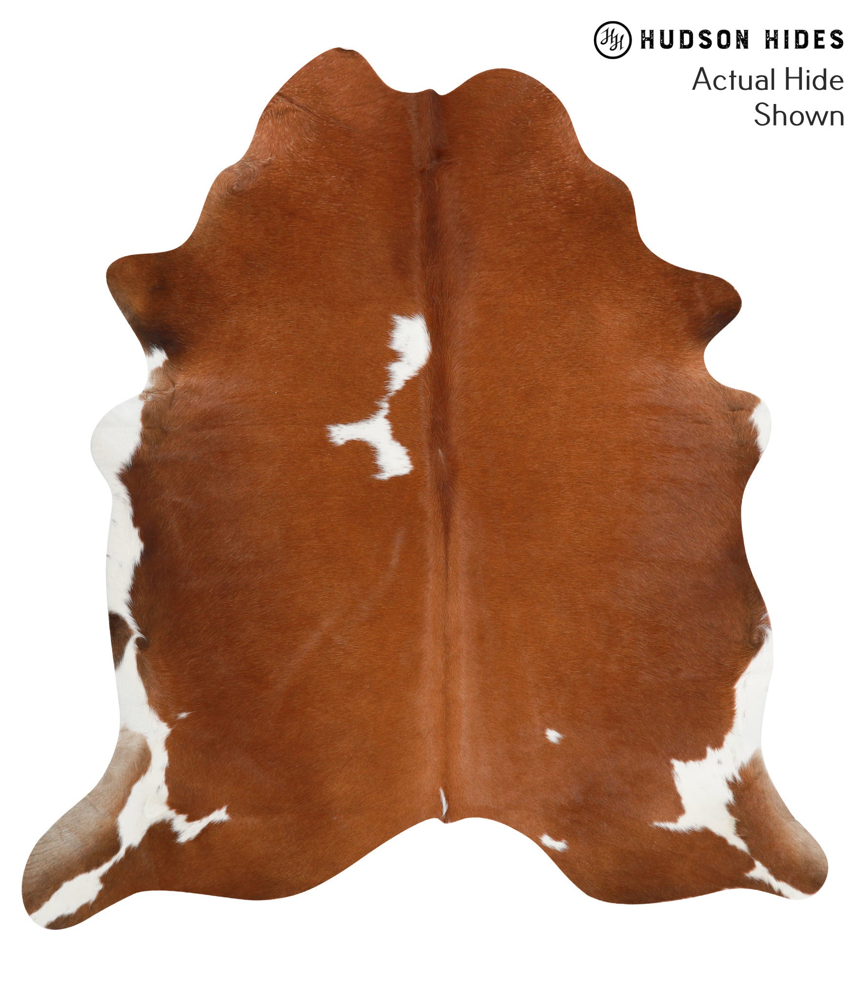 Brown and White Regular Cowhide Rug #39847