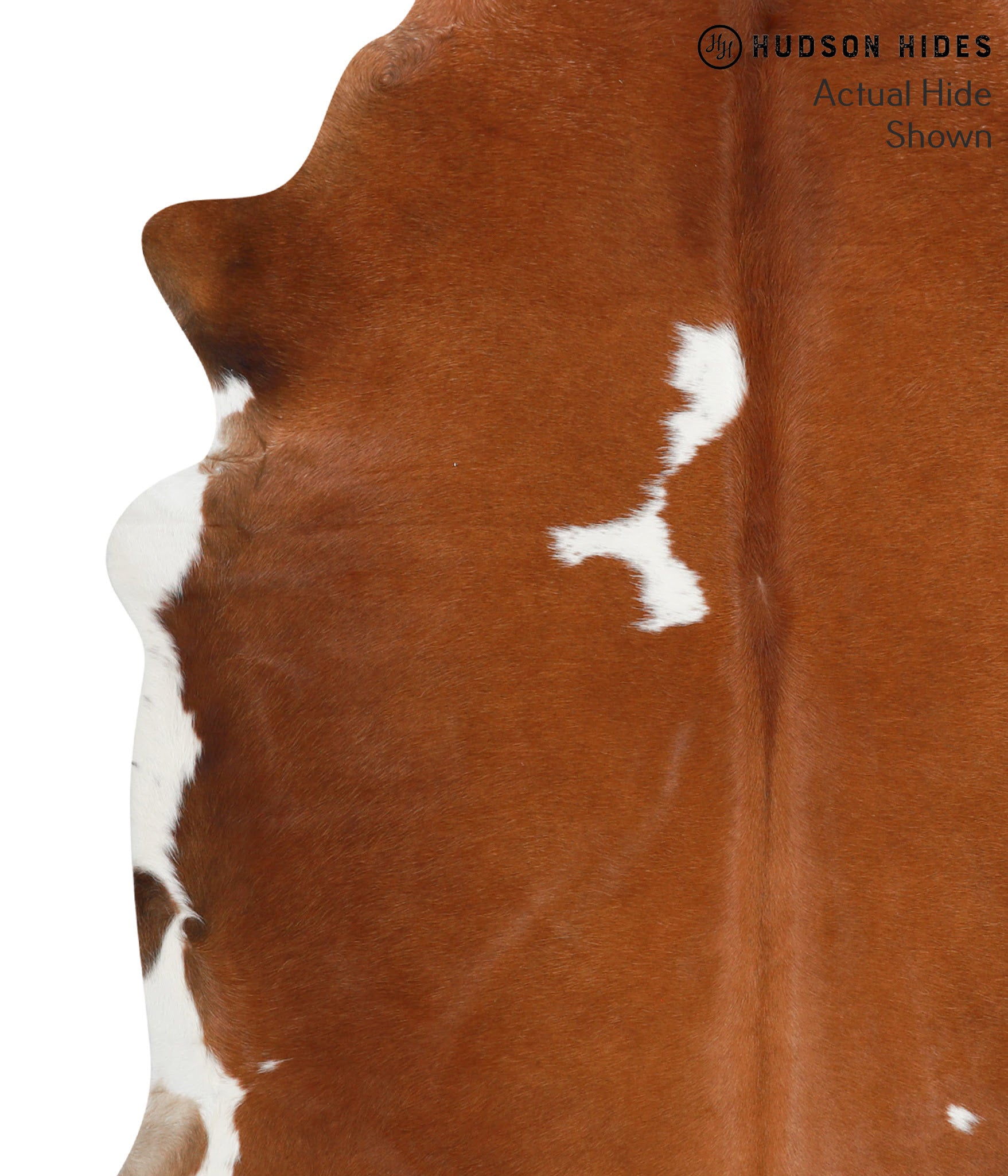 Brown and White Regular Cowhide Rug #39847