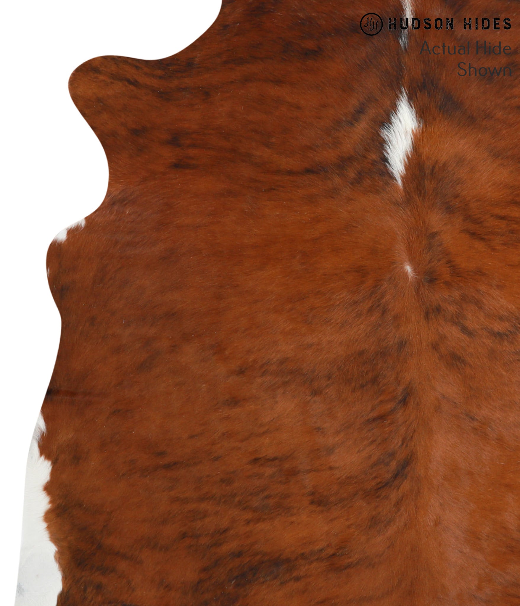Medium Brindle Cowhide Rug #39868