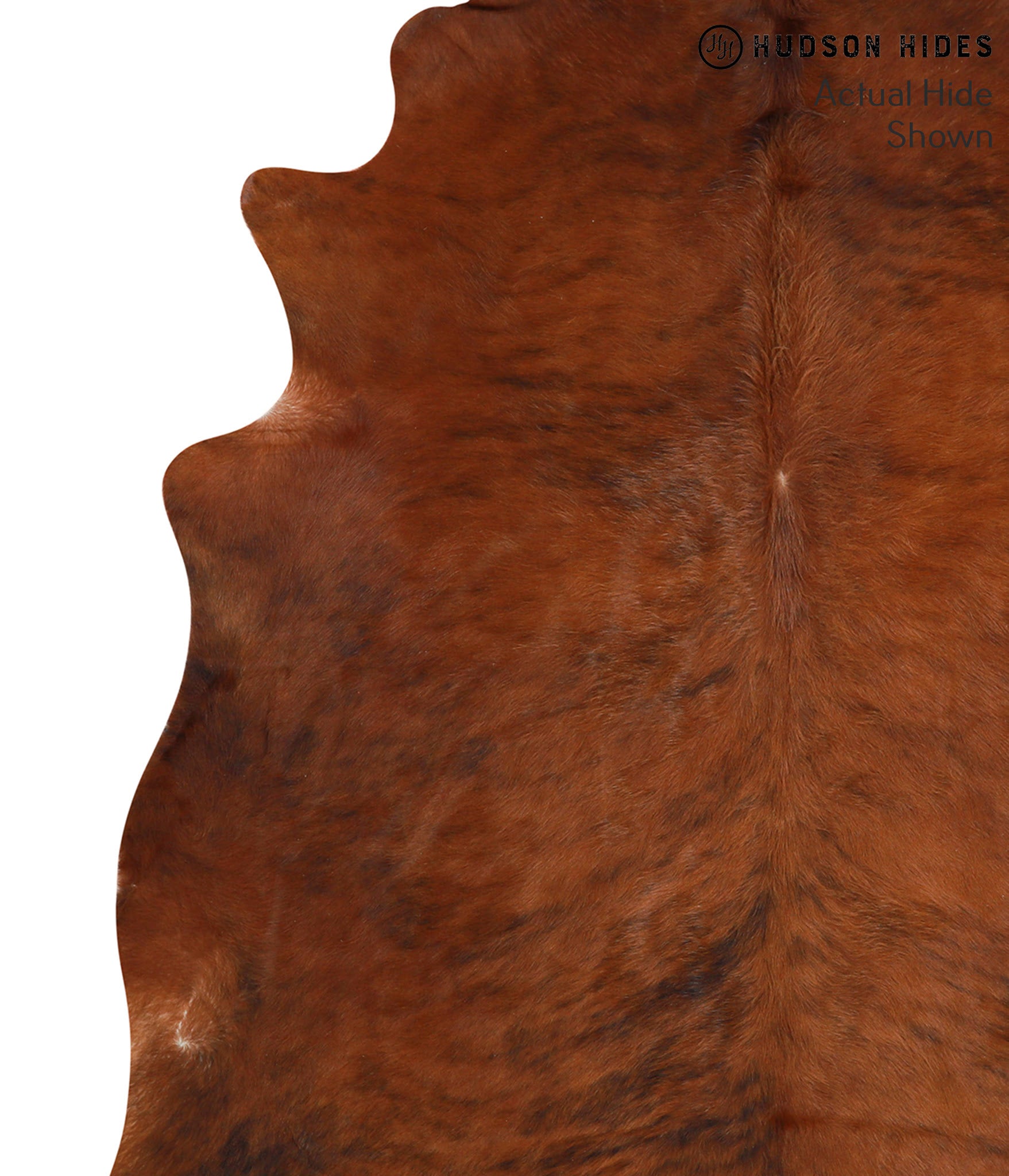 Medium Brindle Cowhide Rug #39893