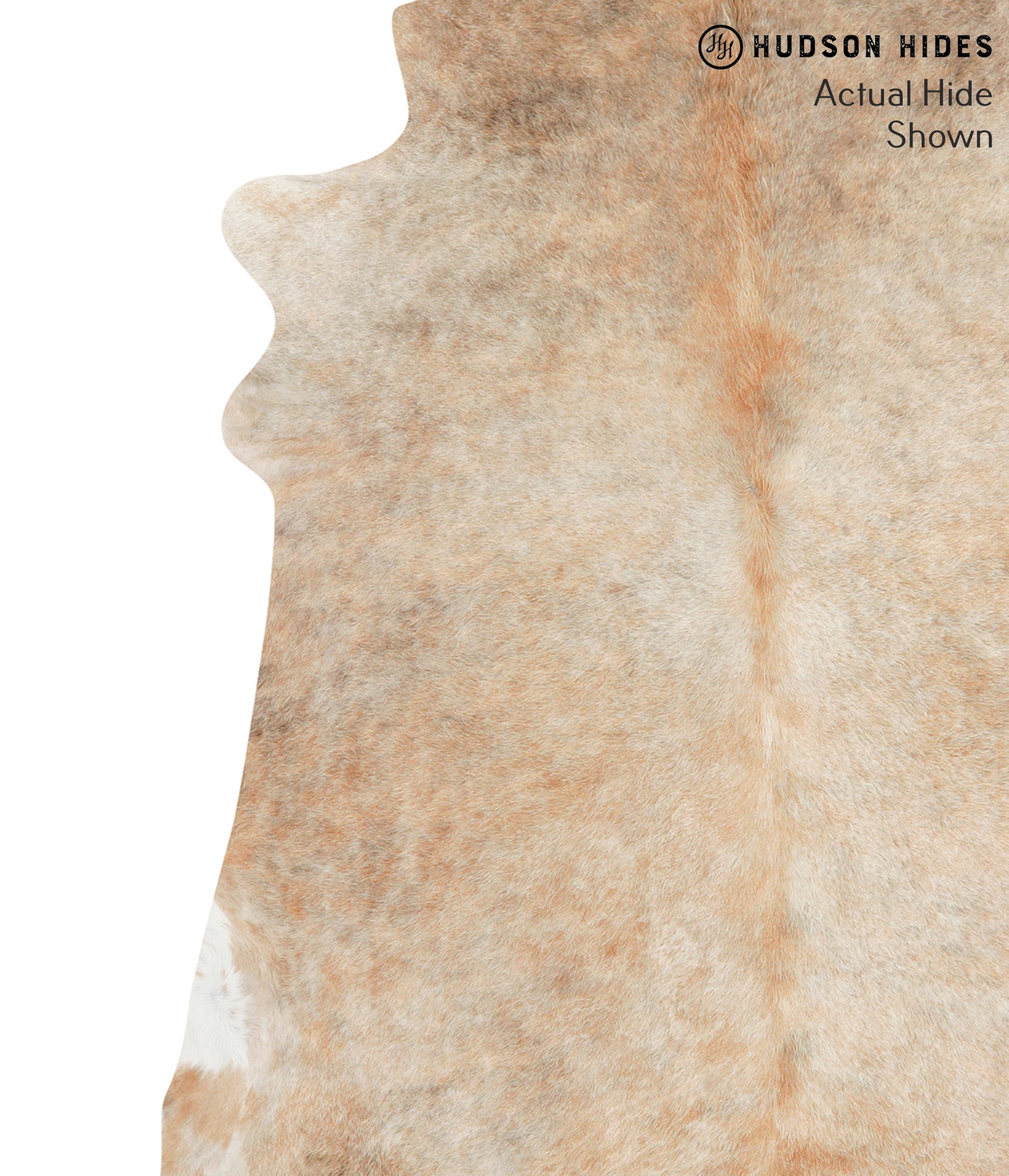 Caramel Cowhide Rug #39920