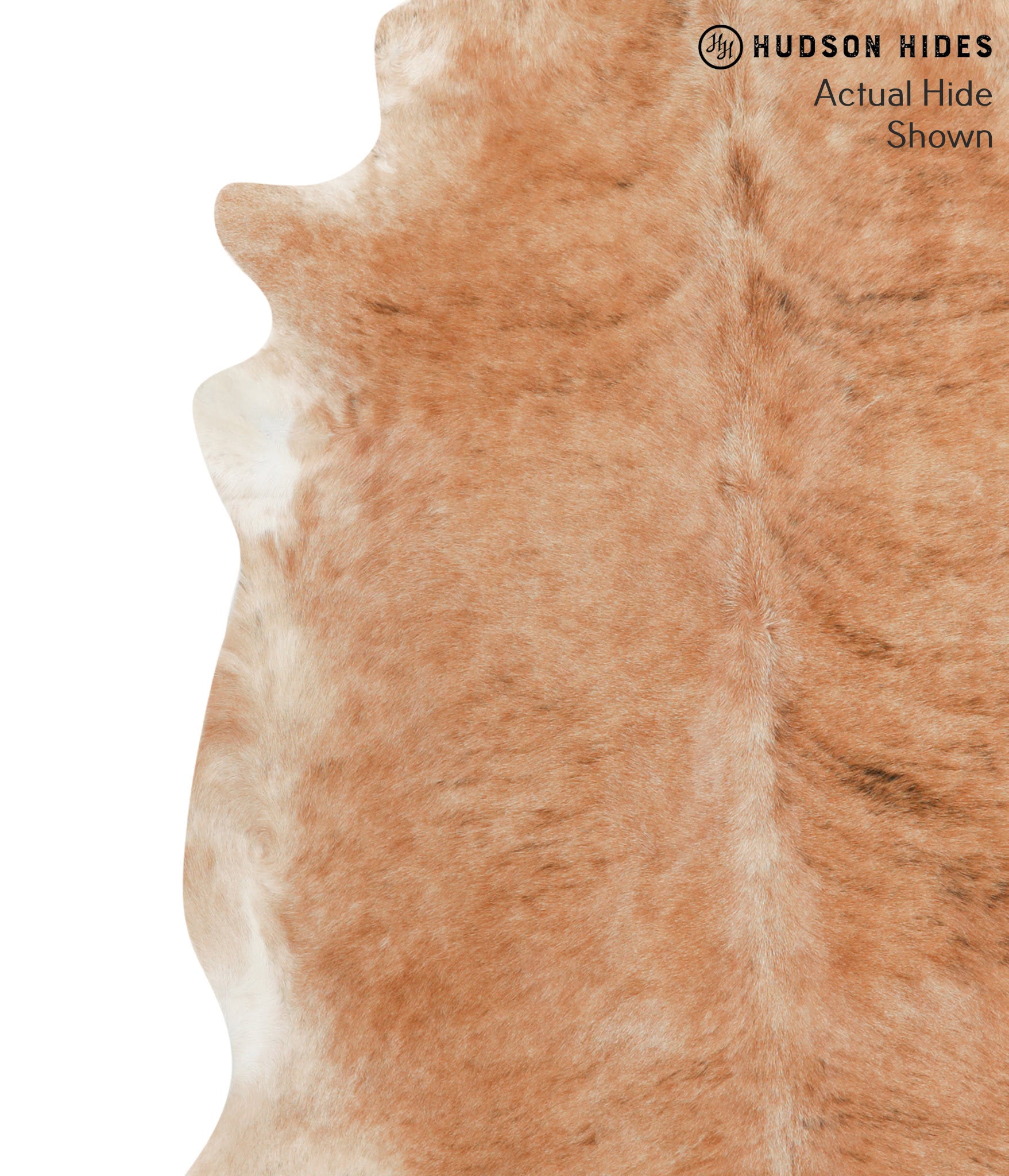 Light Brindle Cowhide Rug #39926