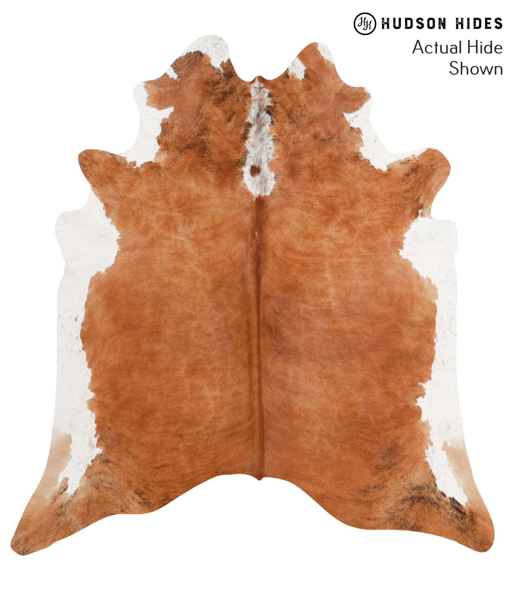 Brown and White Regular Cowhide Rug #39992