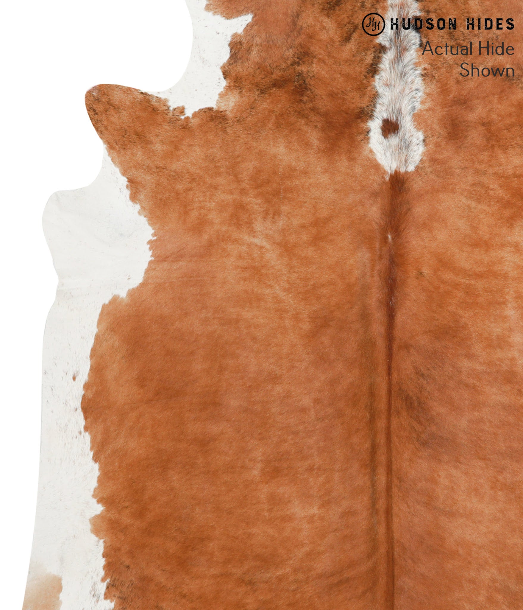 Brown and White Regular Cowhide Rug #39992