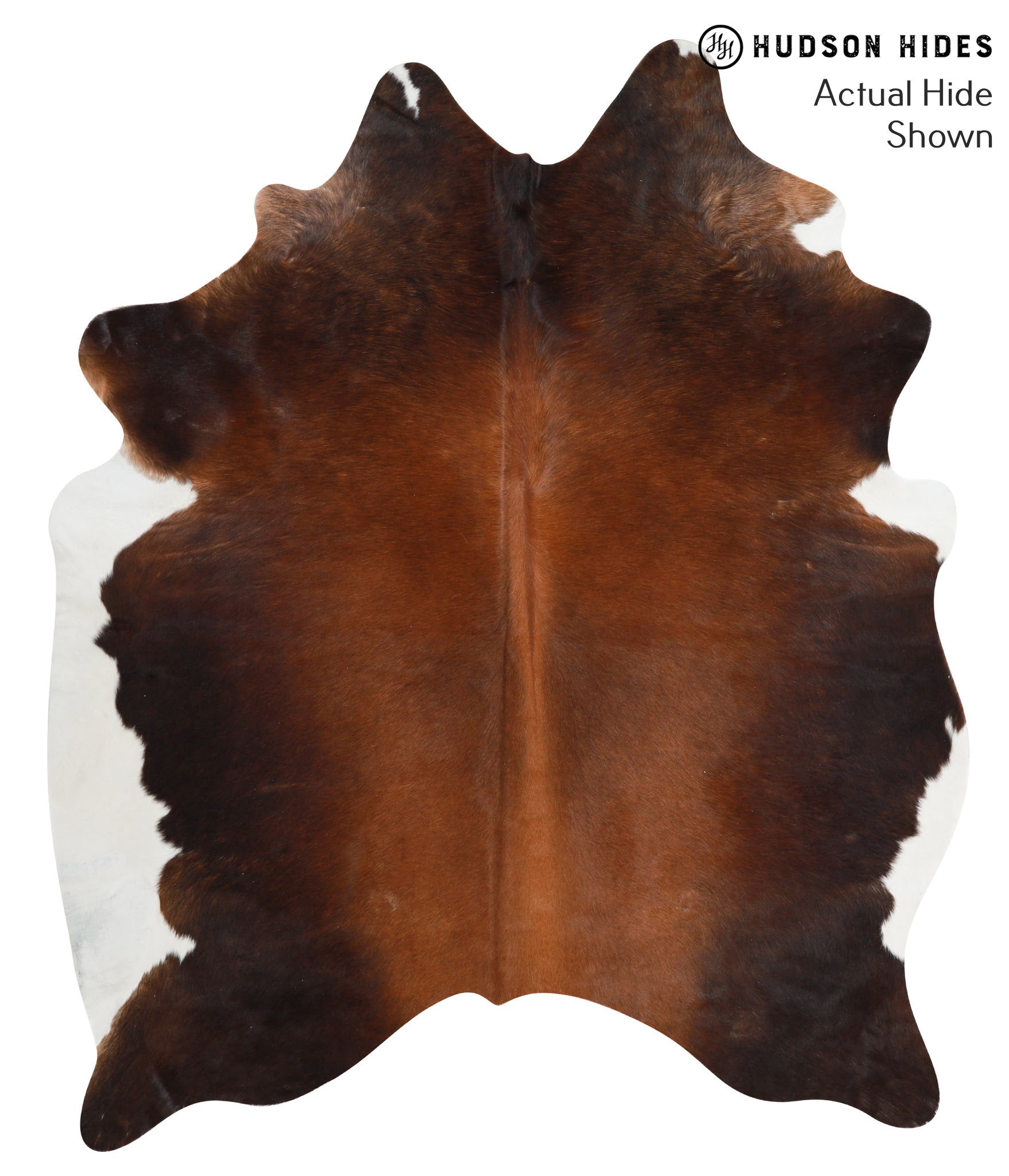 Chocolate and White Cowhide Rug #39999