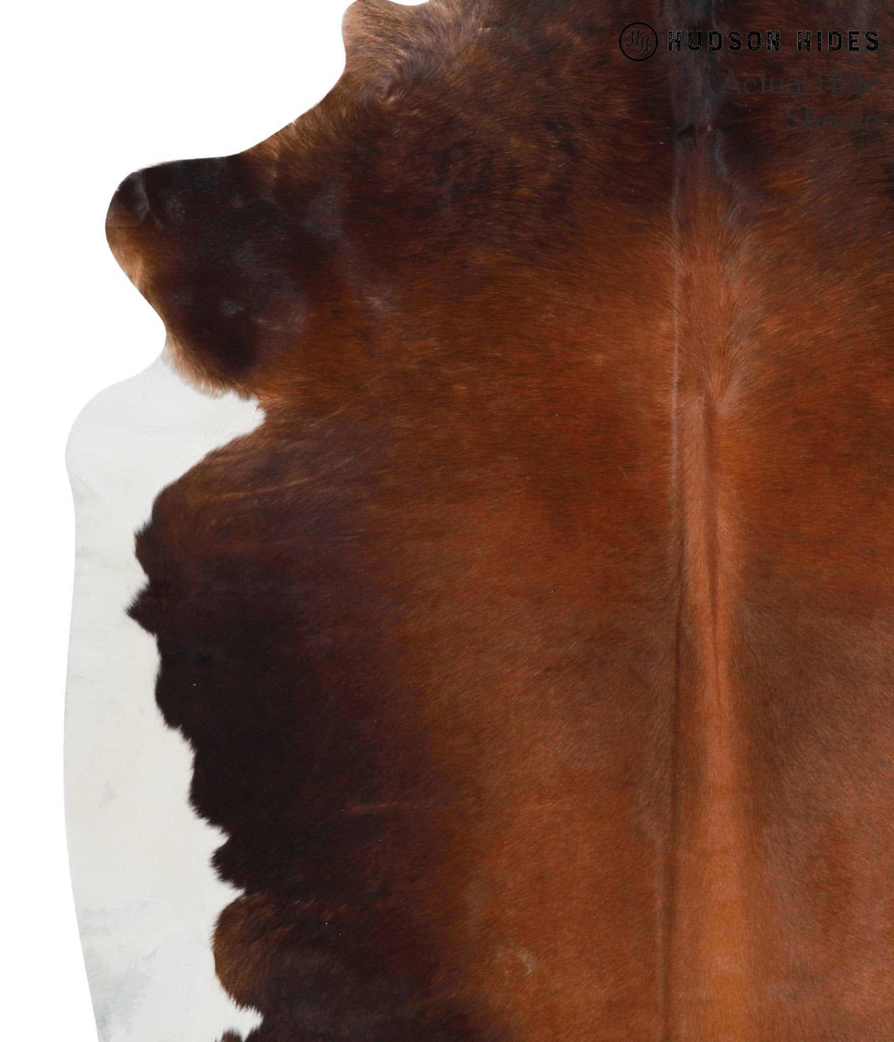 Chocolate and White Cowhide Rug #39999