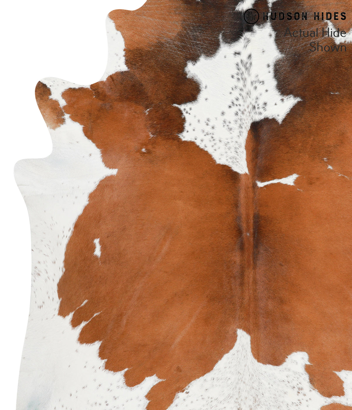 Brown and White X-Large Brazilian Cowhide Rug 7'6"H x 5'10"W #40003 by Hudson Hides