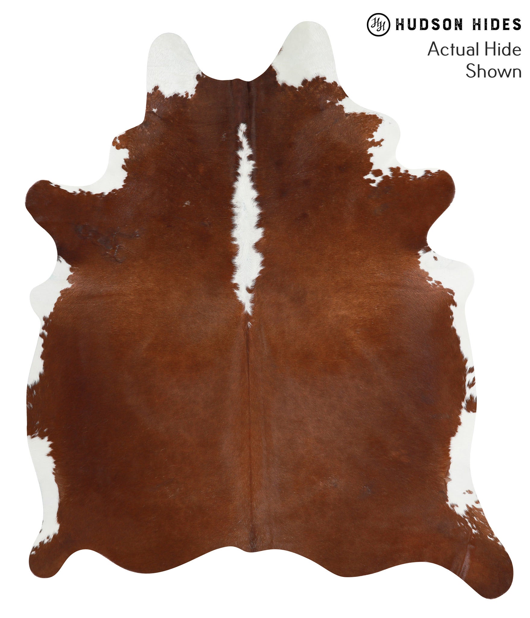 Brown and White Regular Cowhide Rug #40073