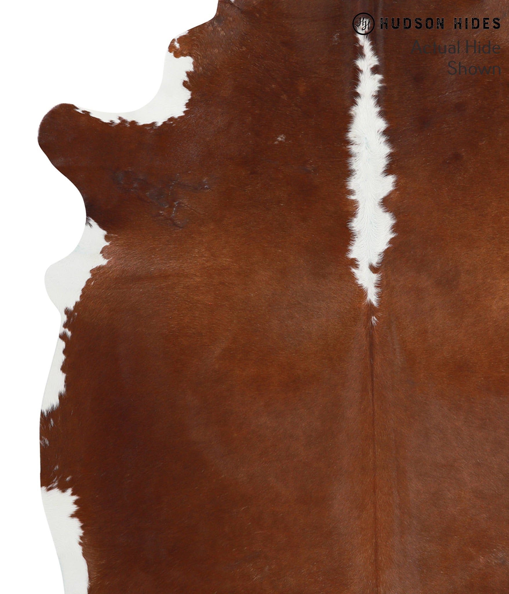 Brown and White Regular Cowhide Rug #40073