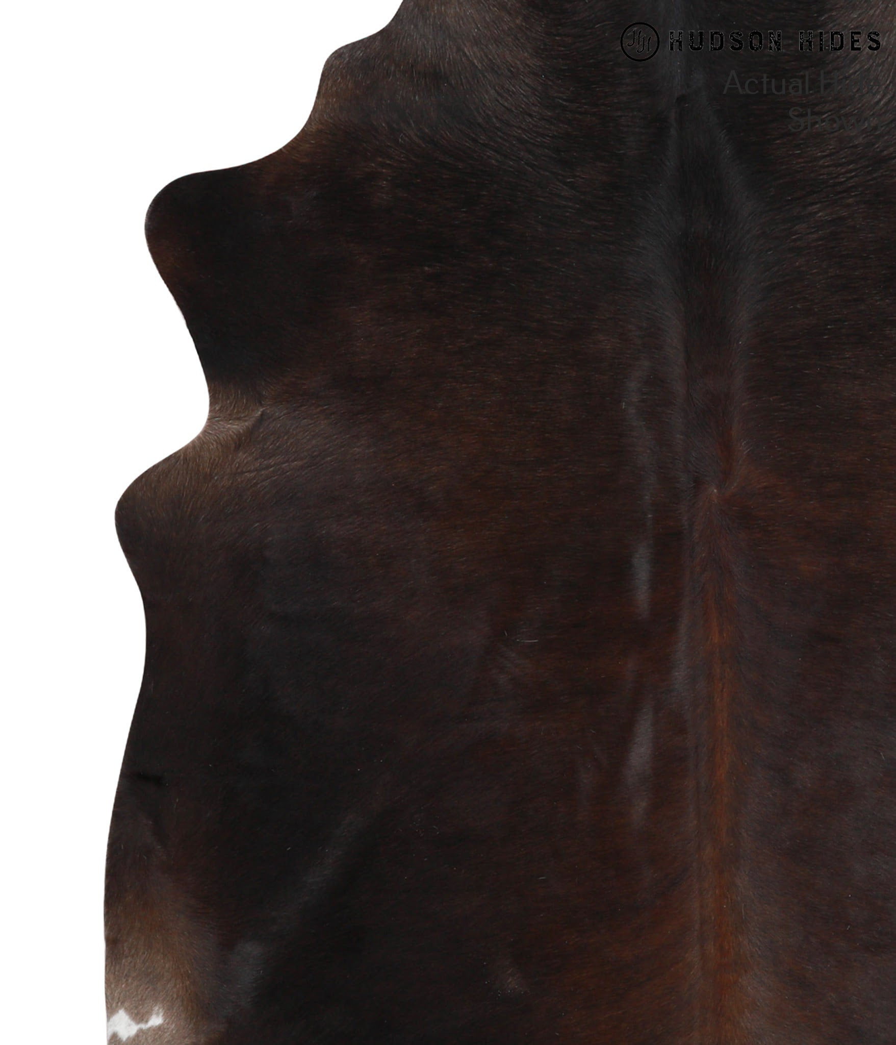 Chocolate and White Cowhide Rug #40091