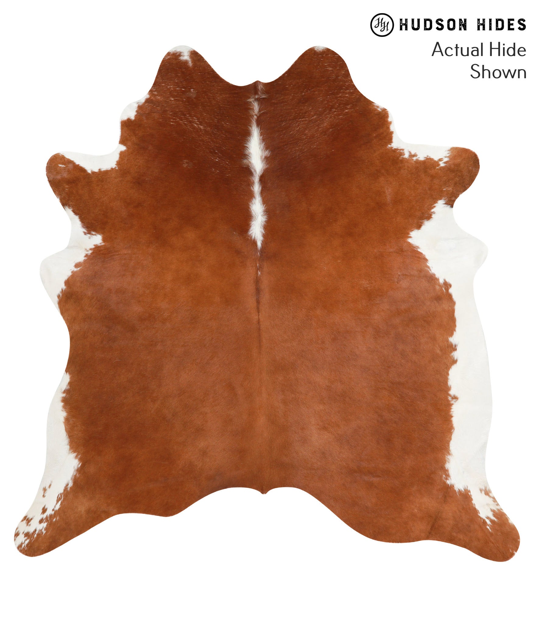 Brown and White Regular Cowhide Rug #40093