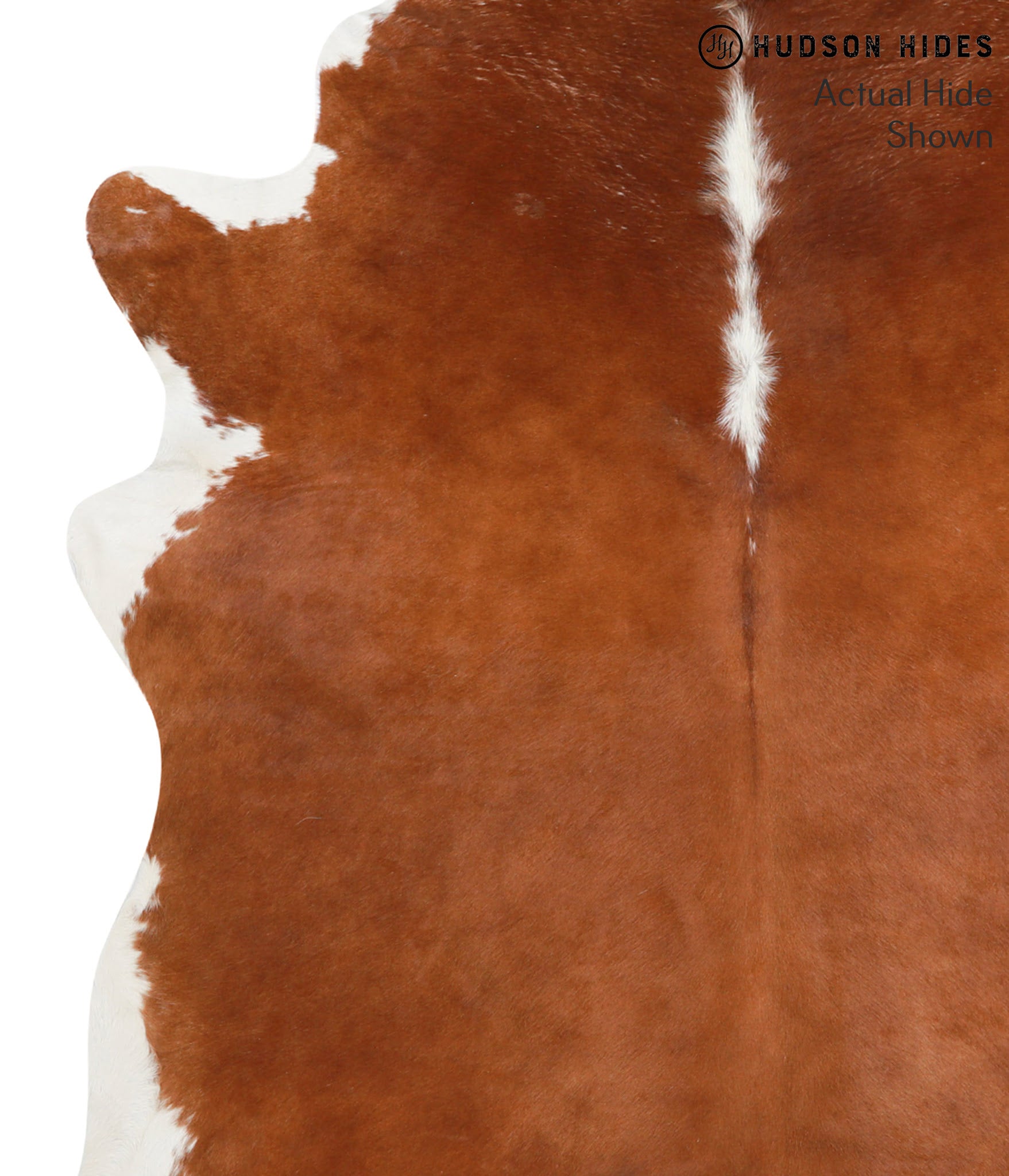 Brown and White Regular Cowhide Rug #40093
