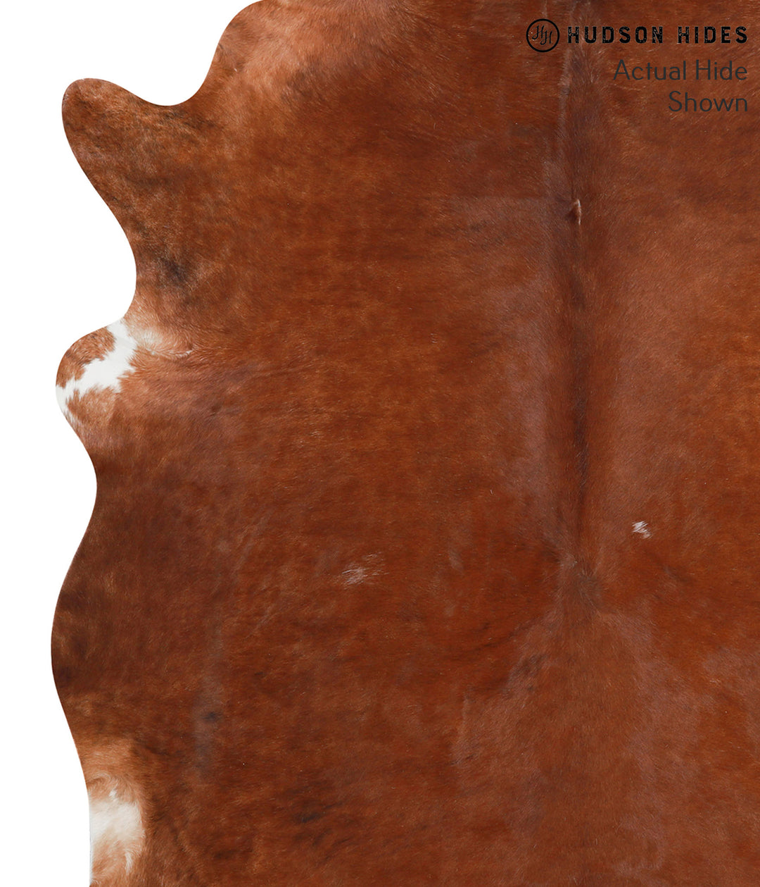 Solid Brown X-Large Brazilian Cowhide Rug 7'2"H x 6'1"W #40151 by Huds