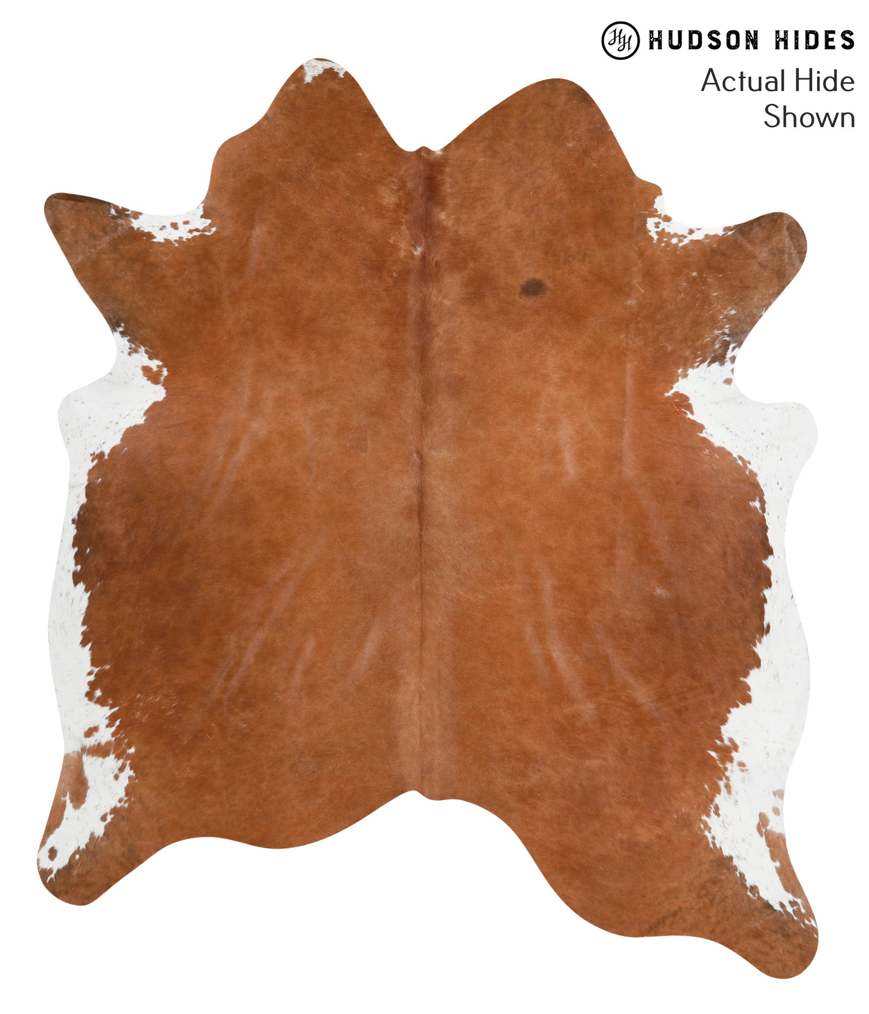 Brown and White Regular Cowhide Rug #40191