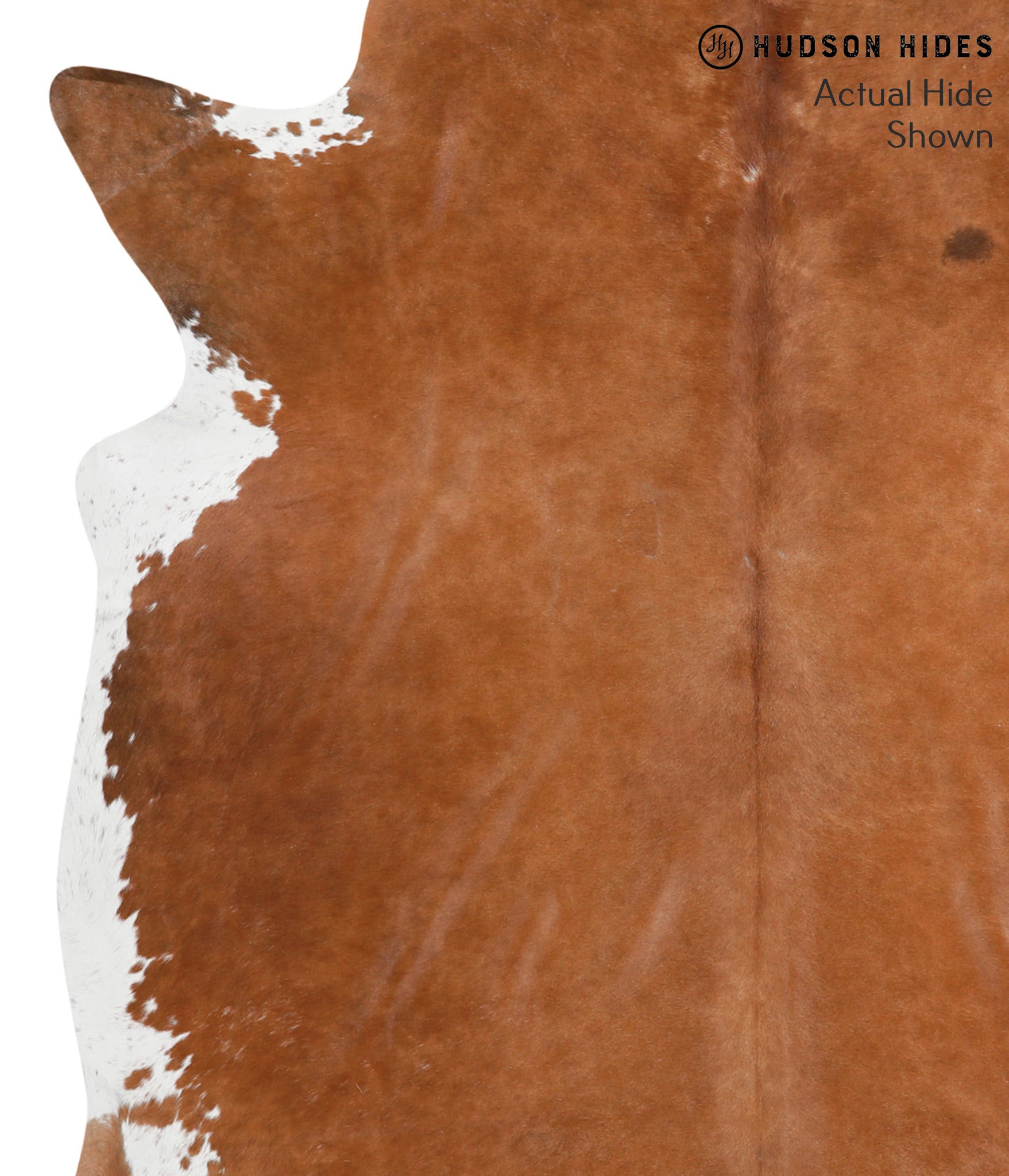 Brown and White Regular Cowhide Rug #40191