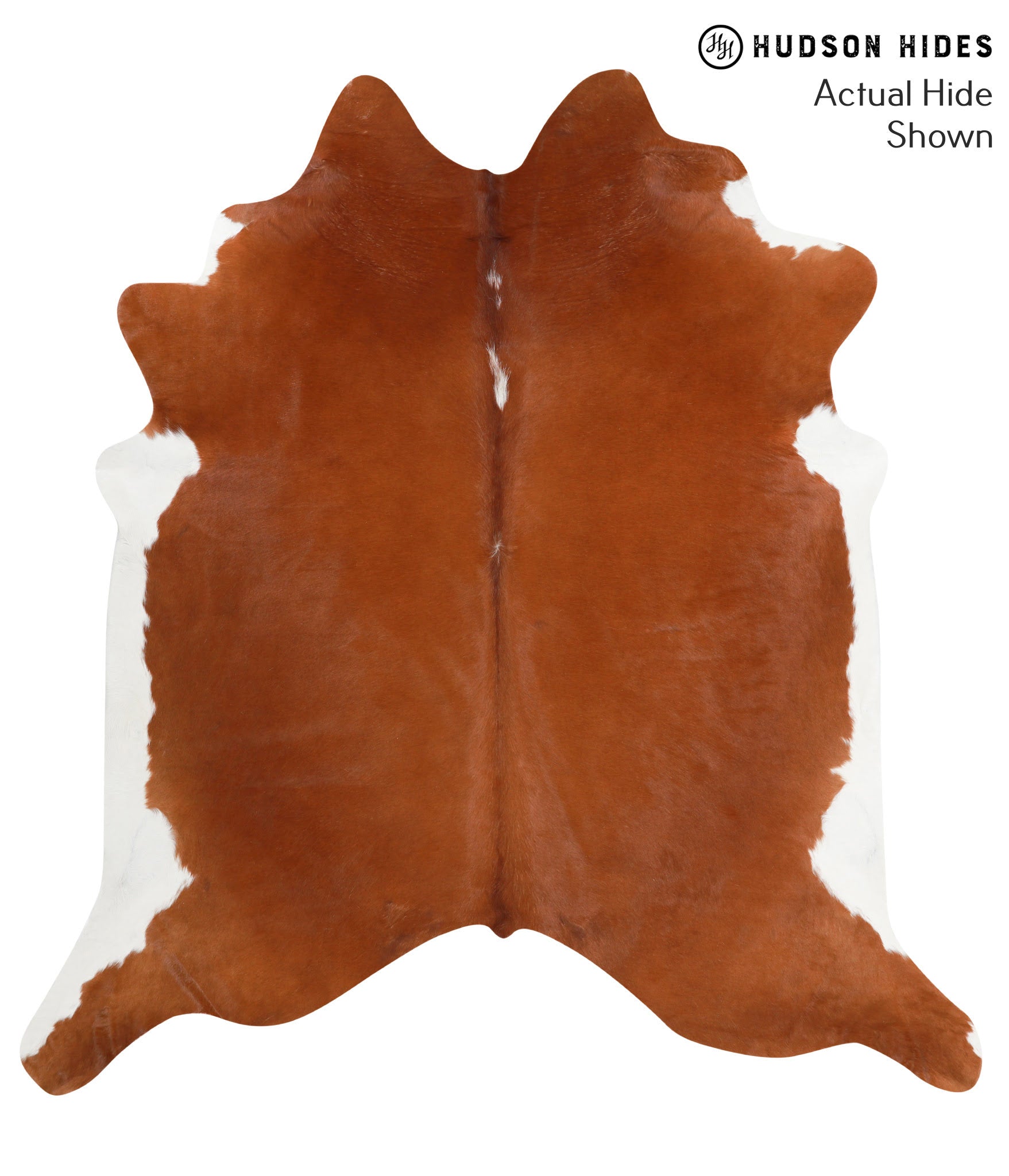 Brown and White Regular Cowhide Rug #40196