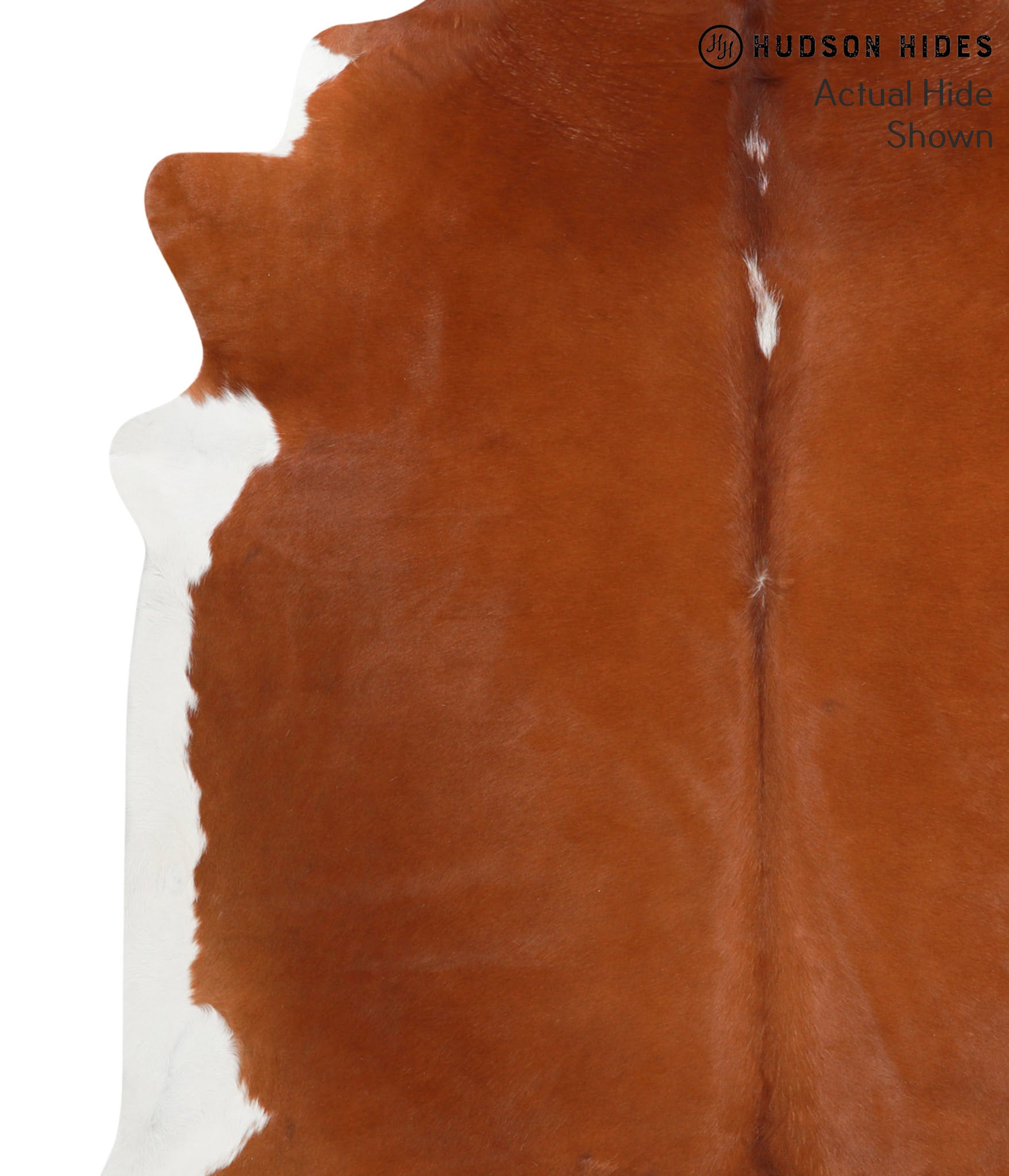 Brown and White Regular Cowhide Rug #40196