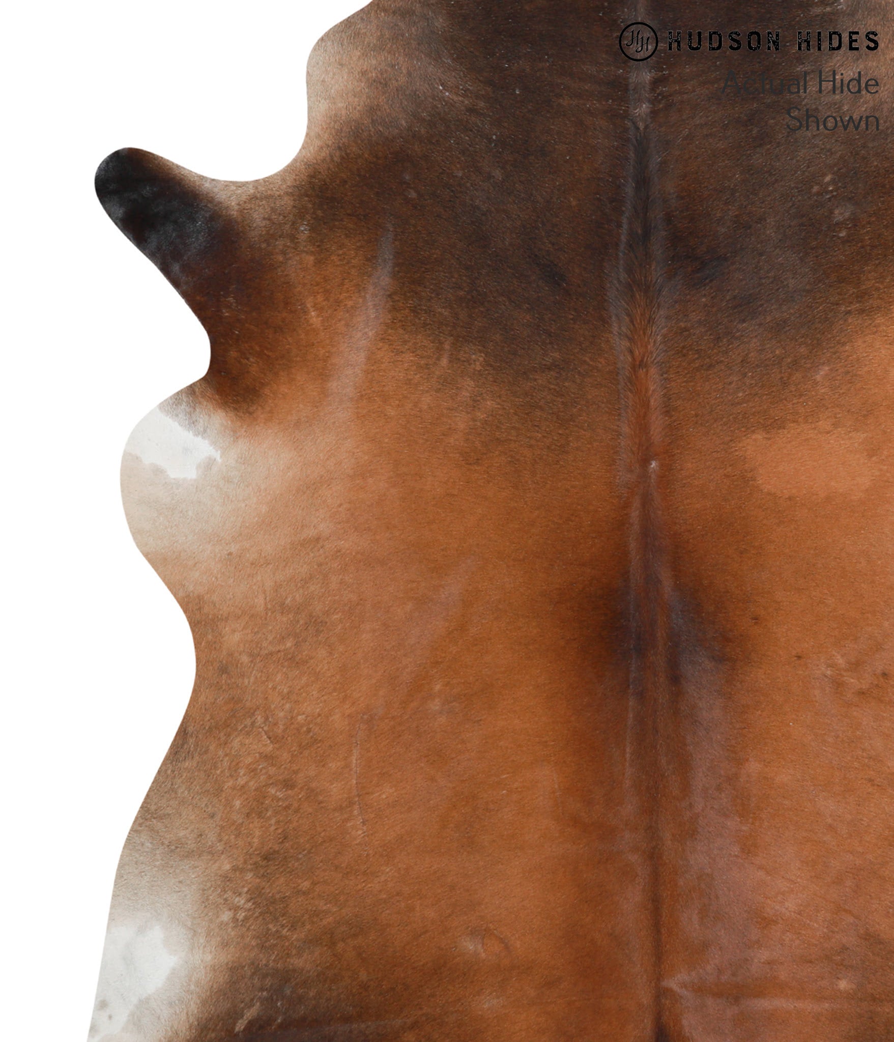 Brown with Red Cowhide Rug #40200