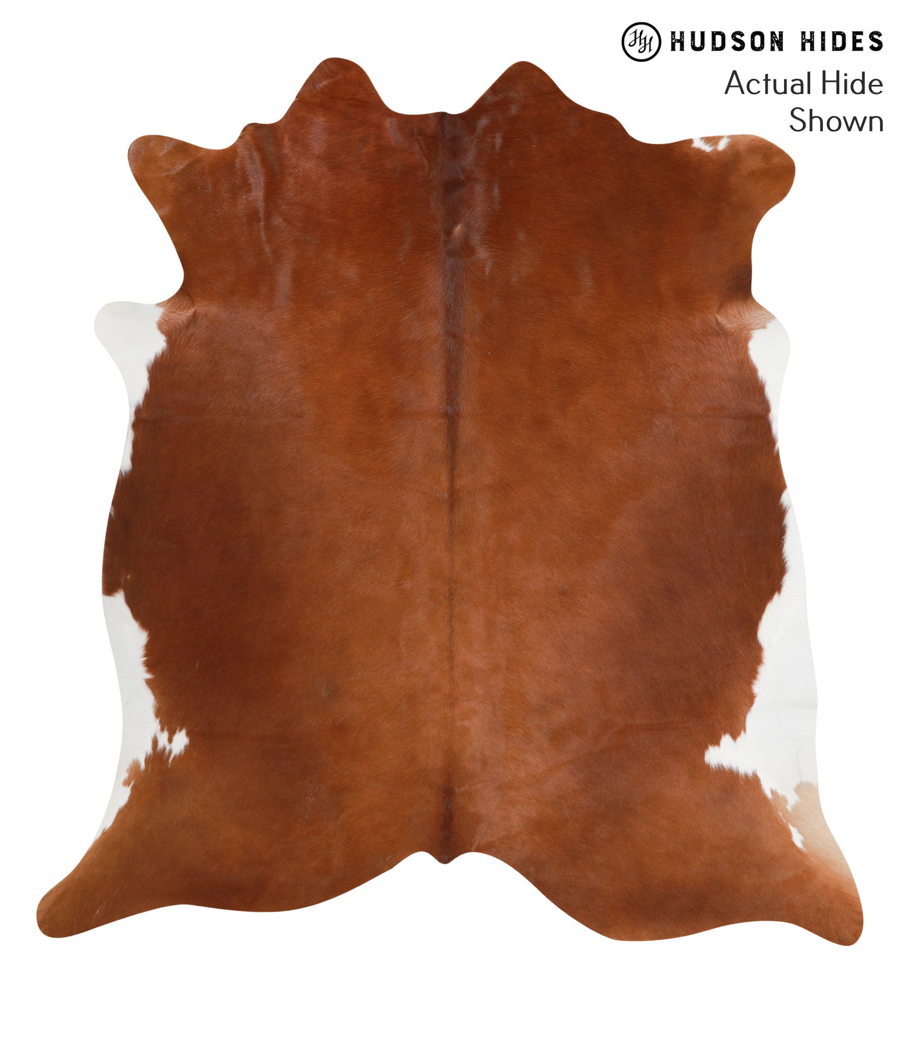 Brown and White Regular Cowhide Rug #40215