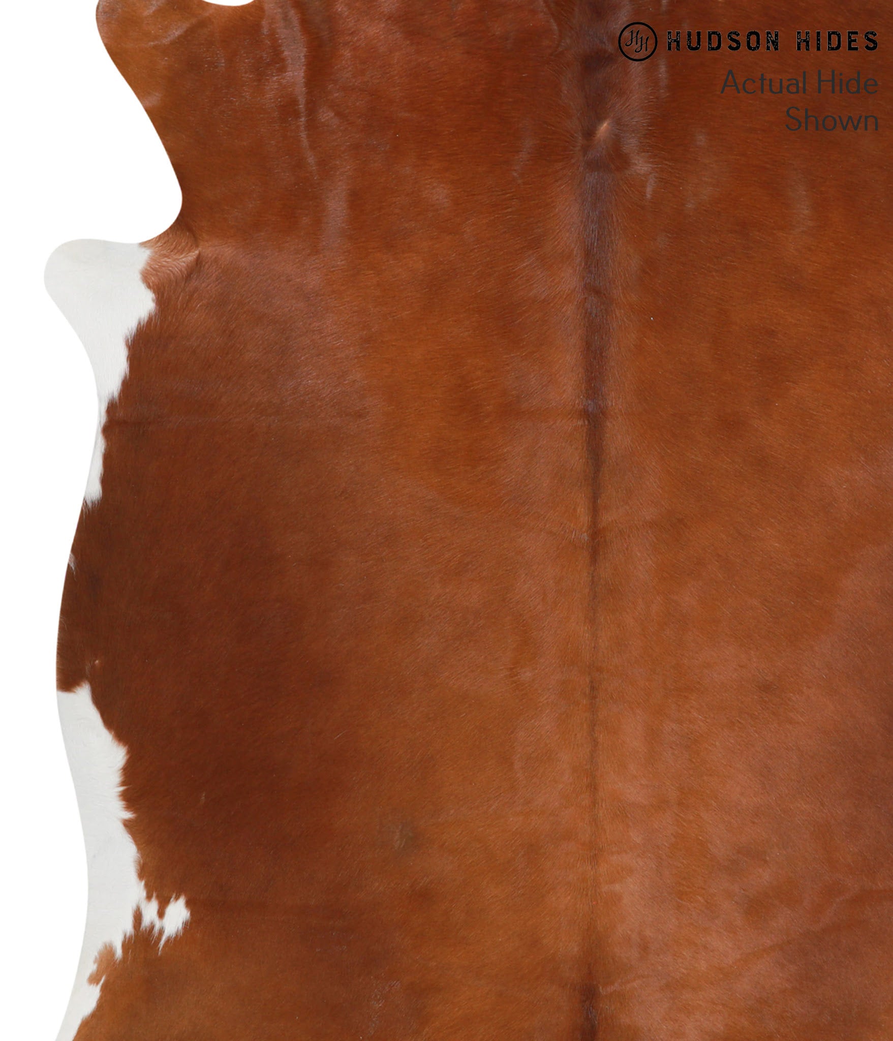 Brown and White Regular Cowhide Rug #40215