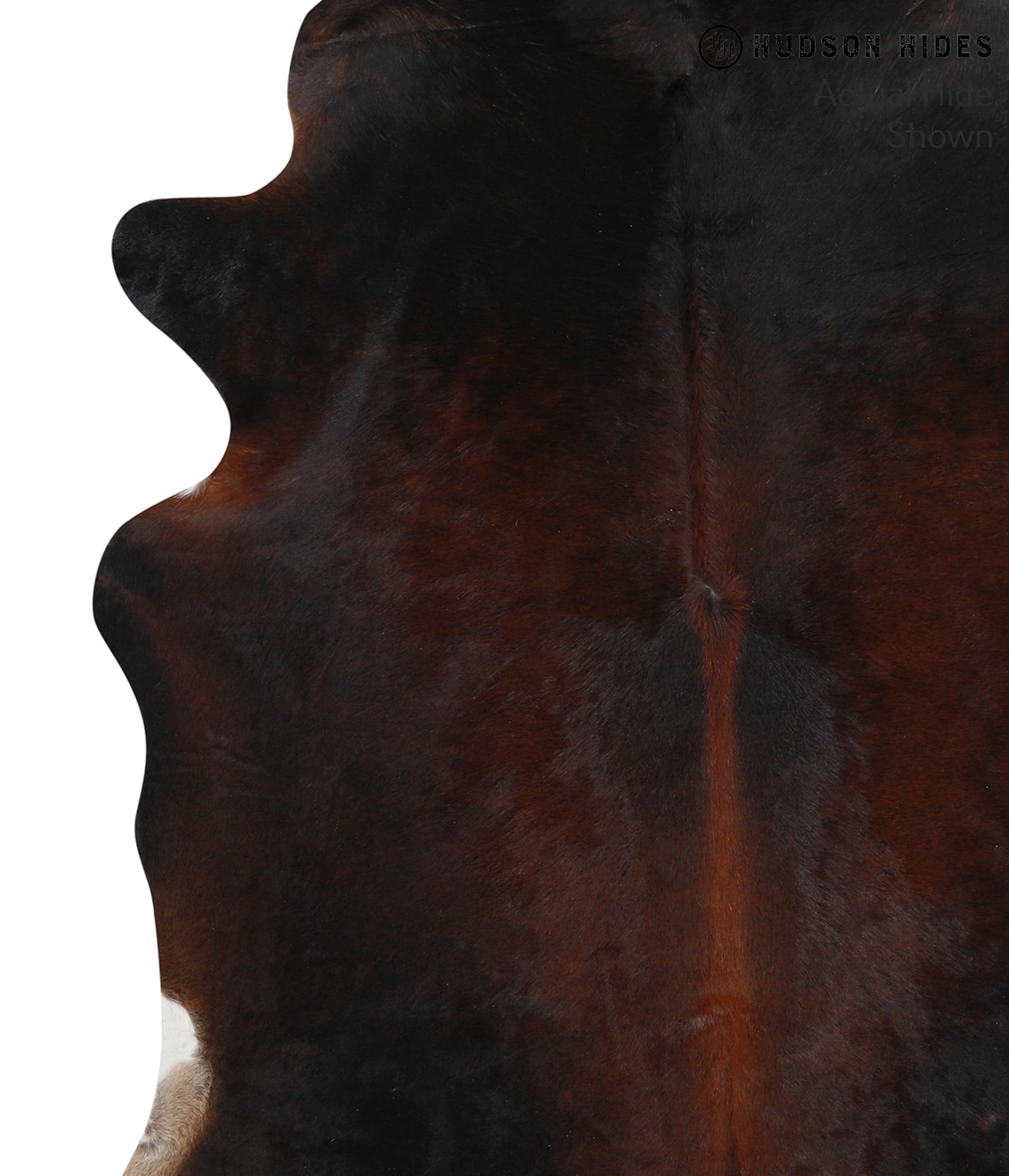 Chocolate and White Cowhide Rug #40222