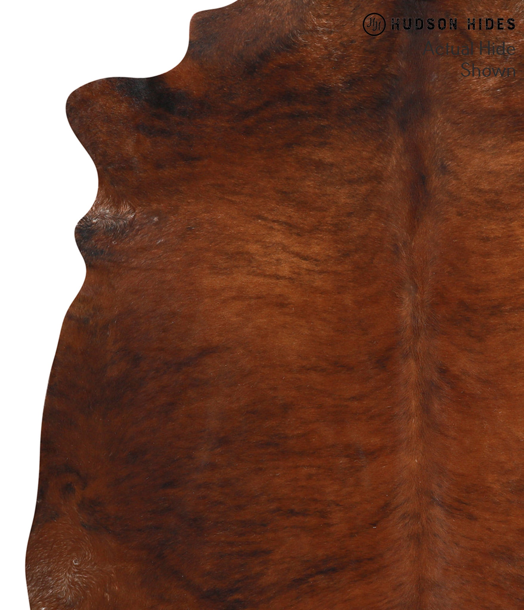 Medium Brindle Cowhide Rug #40264