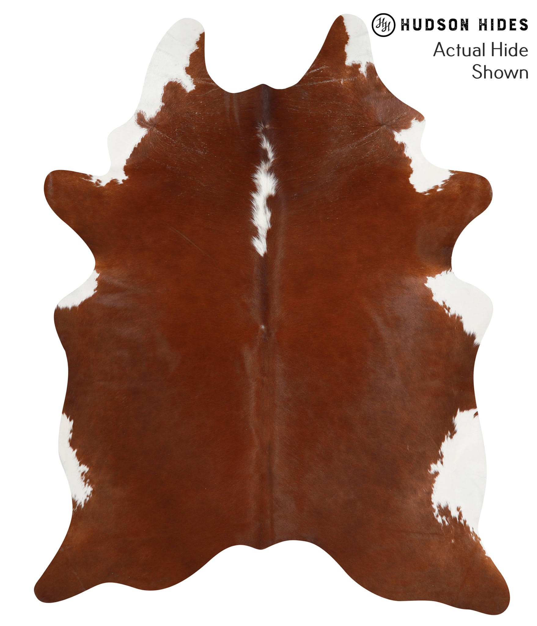 Brown and White Regular Cowhide Rug #40292